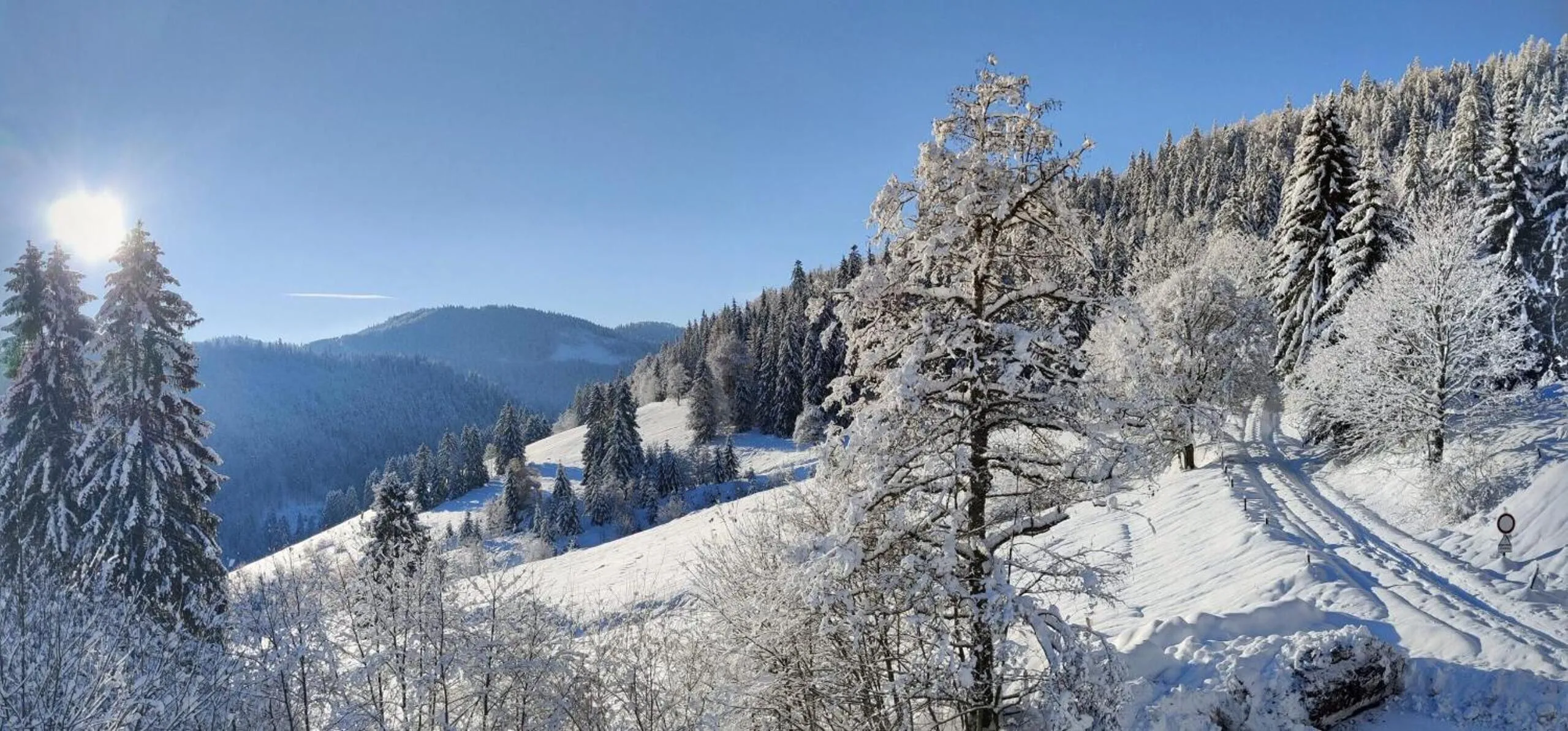 Area and facilities in Berggasthaus Präger Böden
