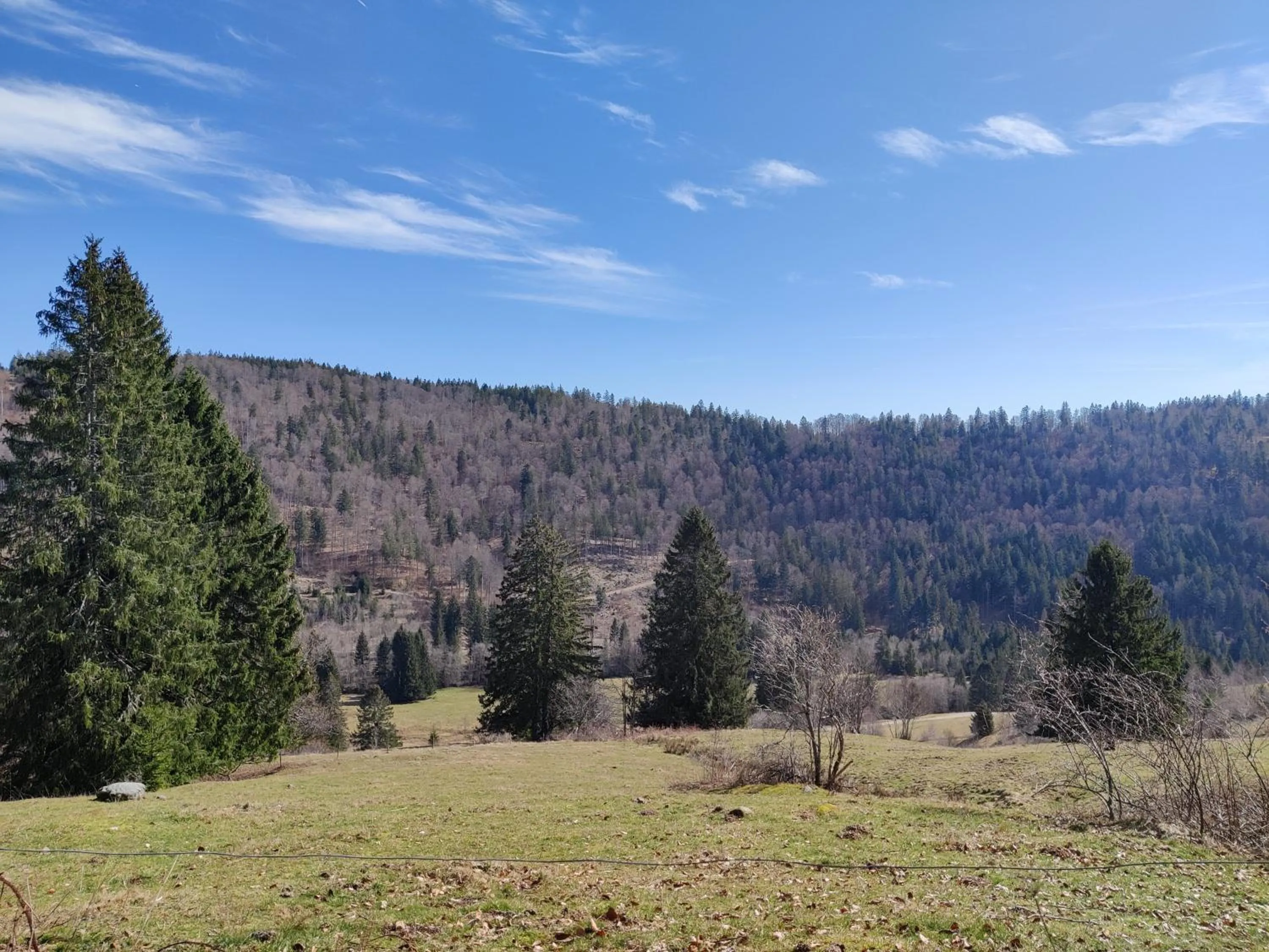View (from property/room) in Berggasthaus Präger Böden