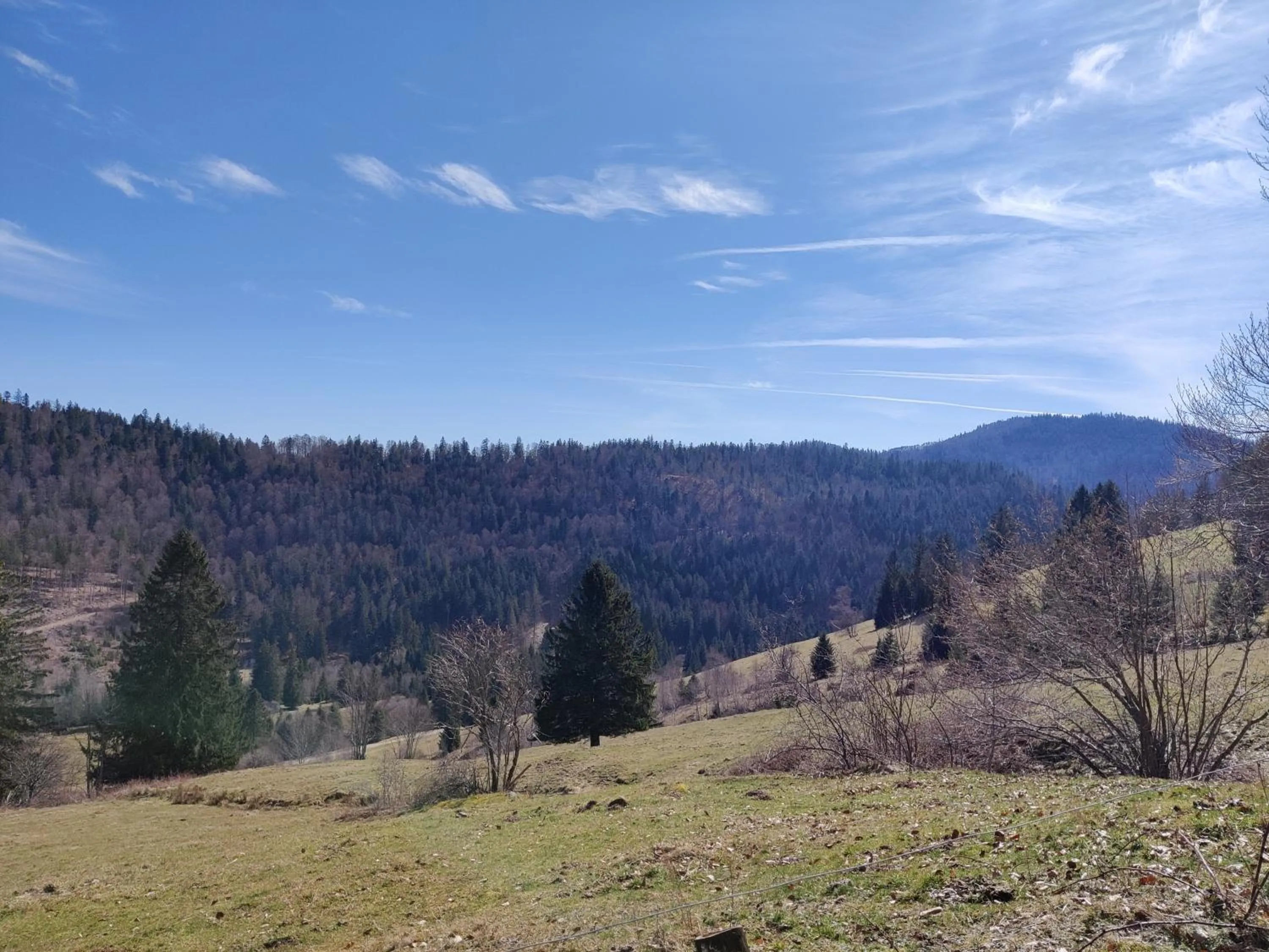 View (from property/room) in Berggasthaus Präger Böden
