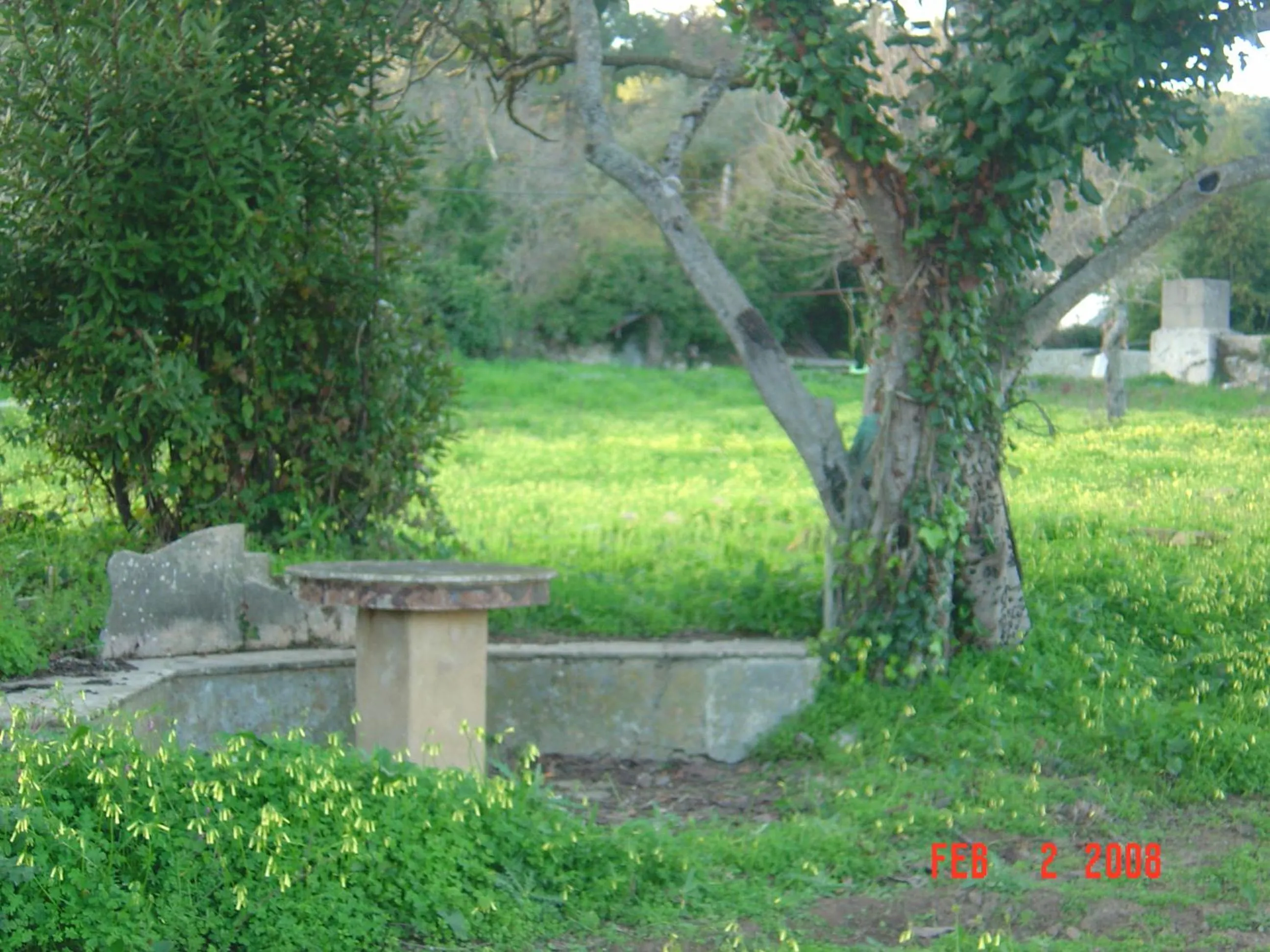 Garden in Quinta Do Scoto