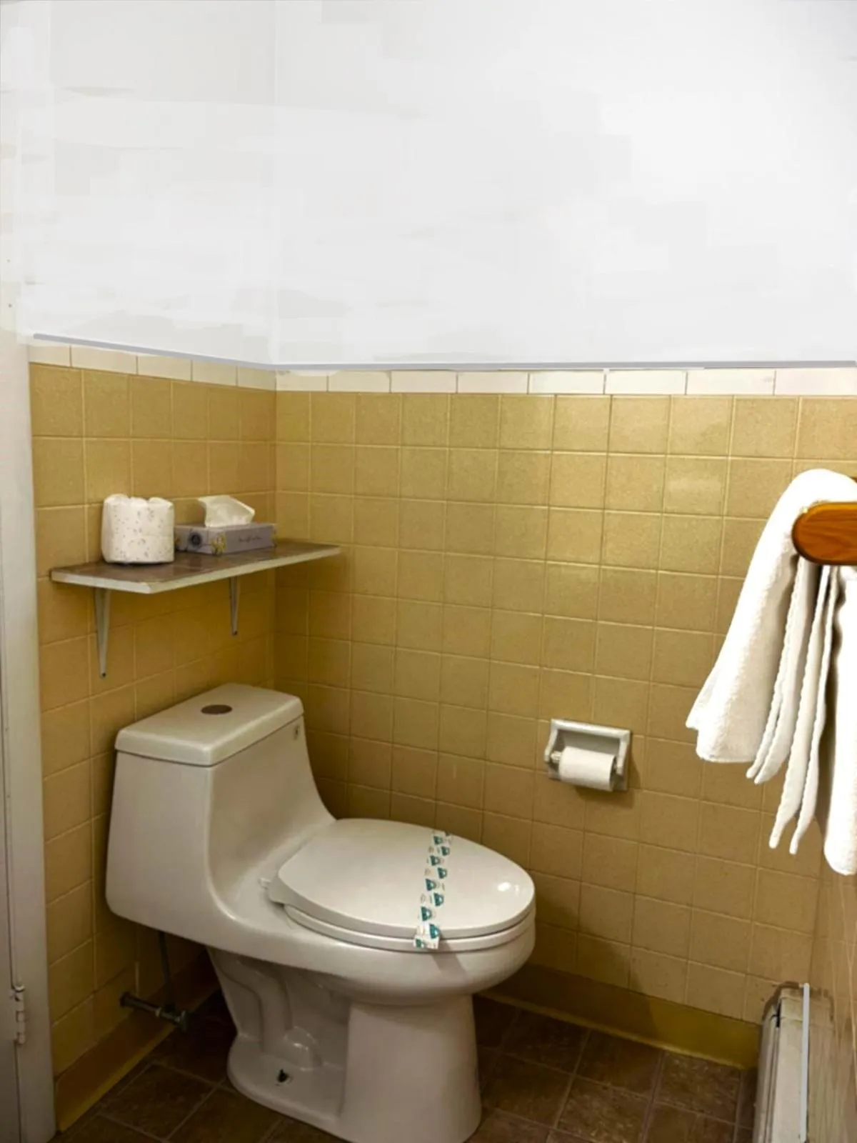 Buena Vista Inn Motel