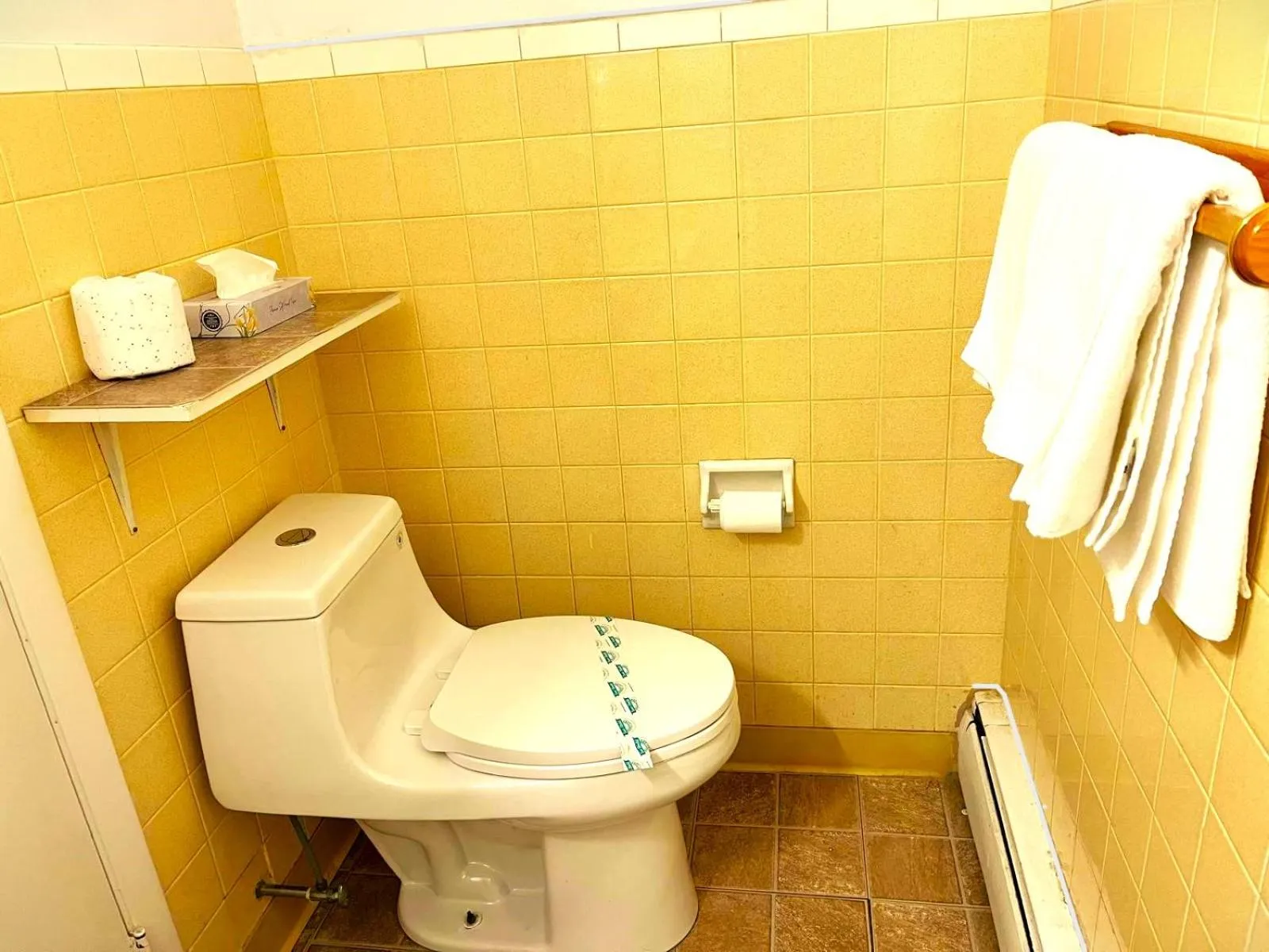 Buena Vista Inn Motel