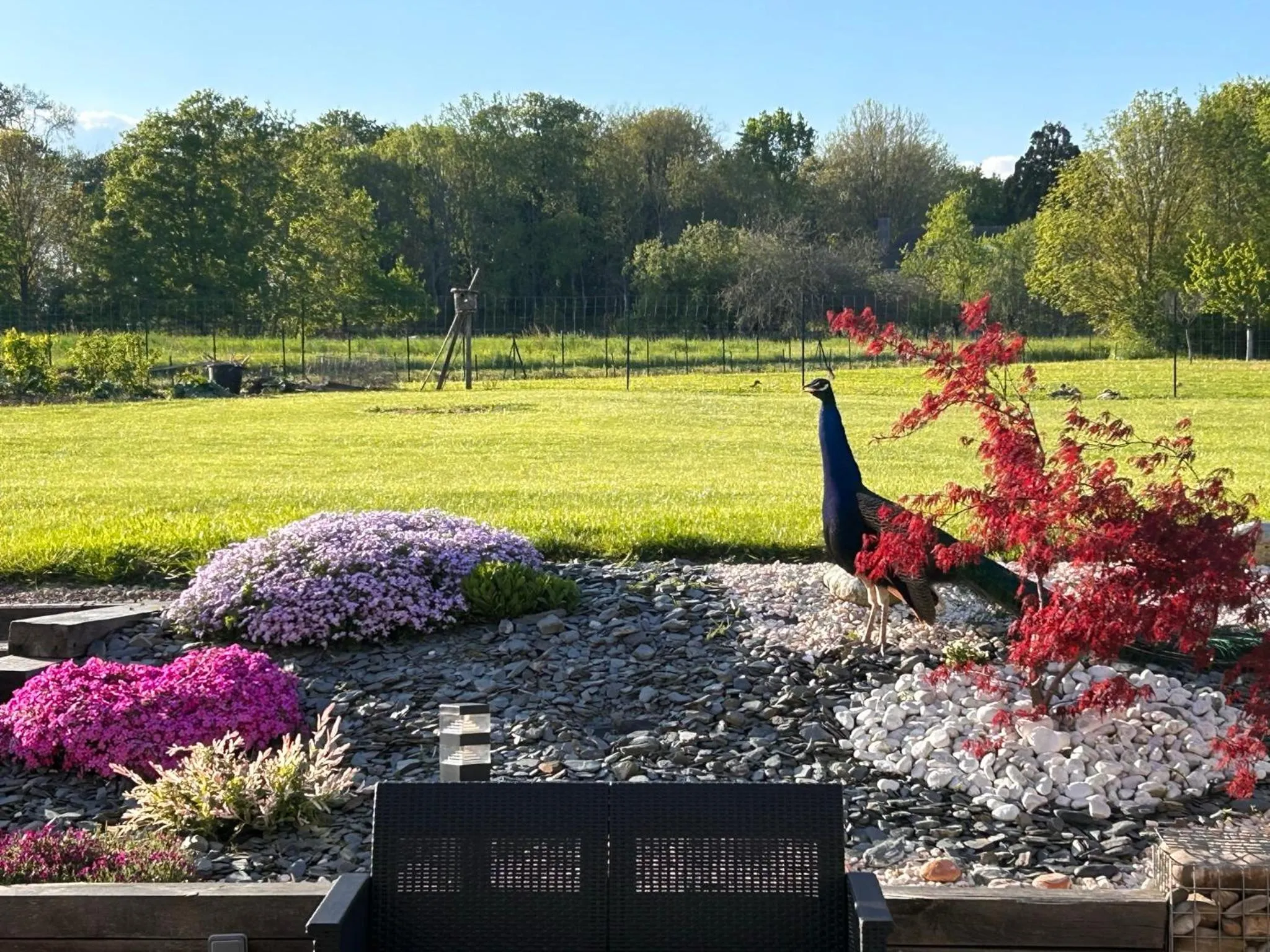 Garden view in La Loubertine