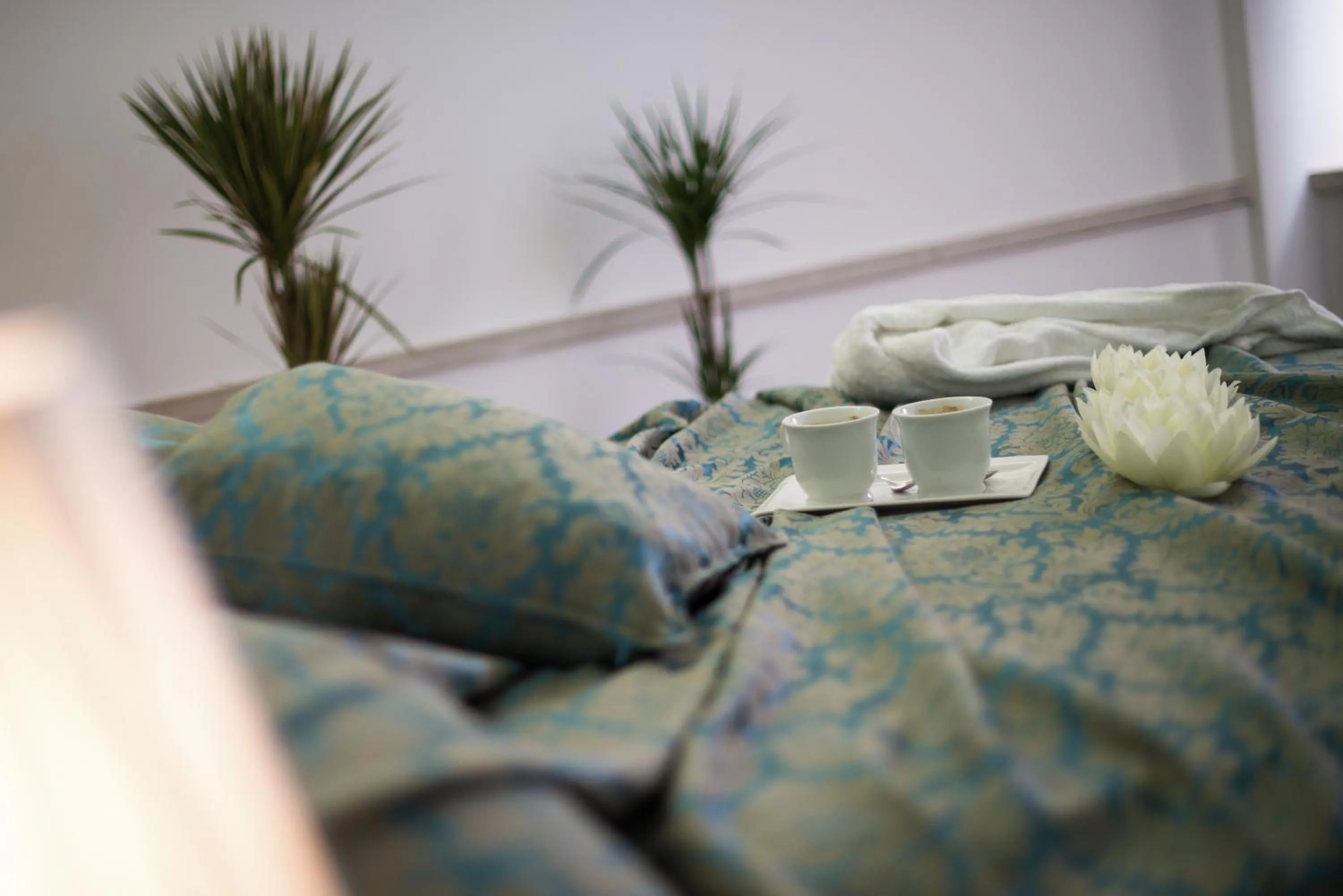 Food in Hotel Boutique Natka