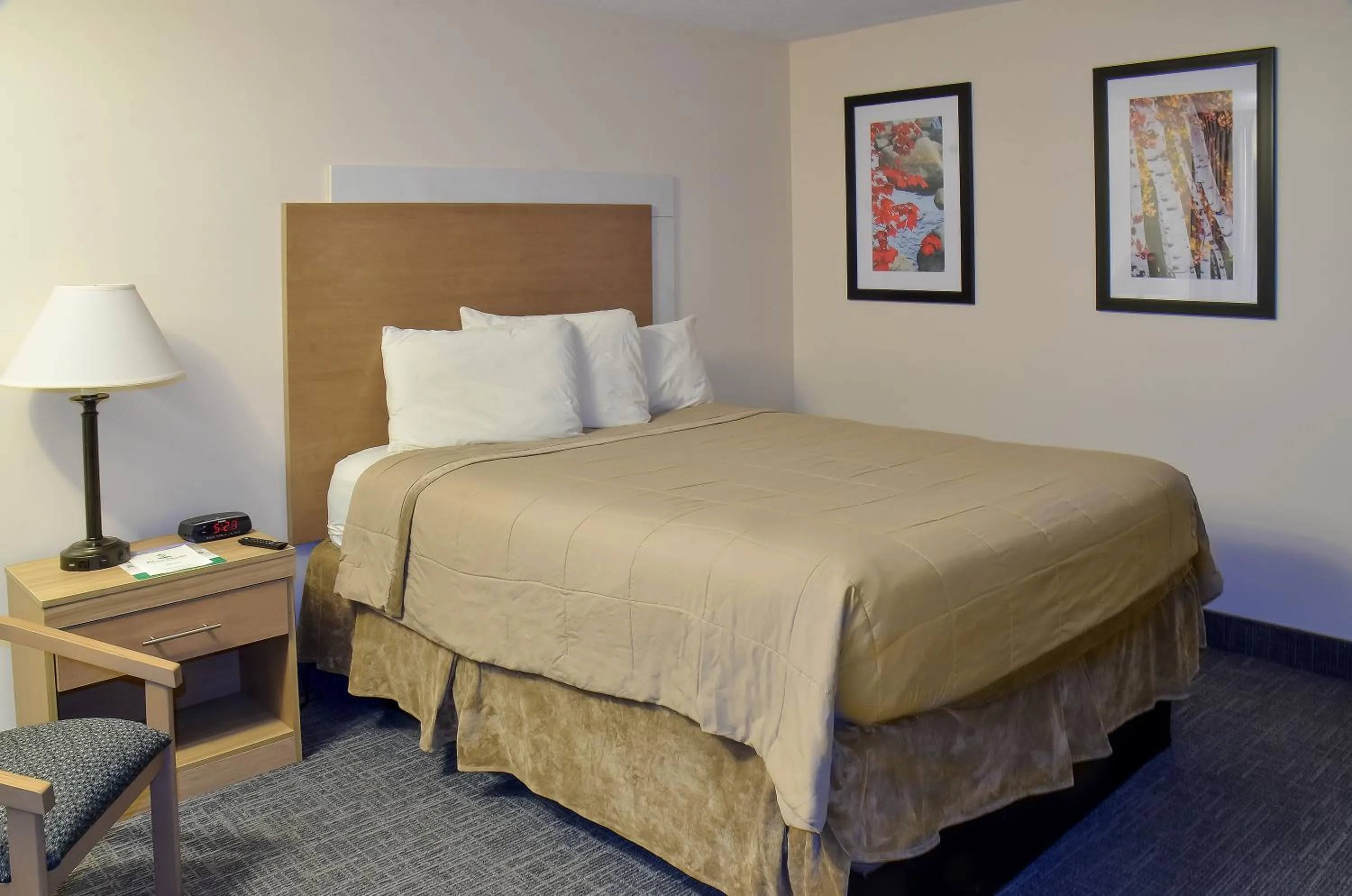 Bed in Town & Country Inn & Resort