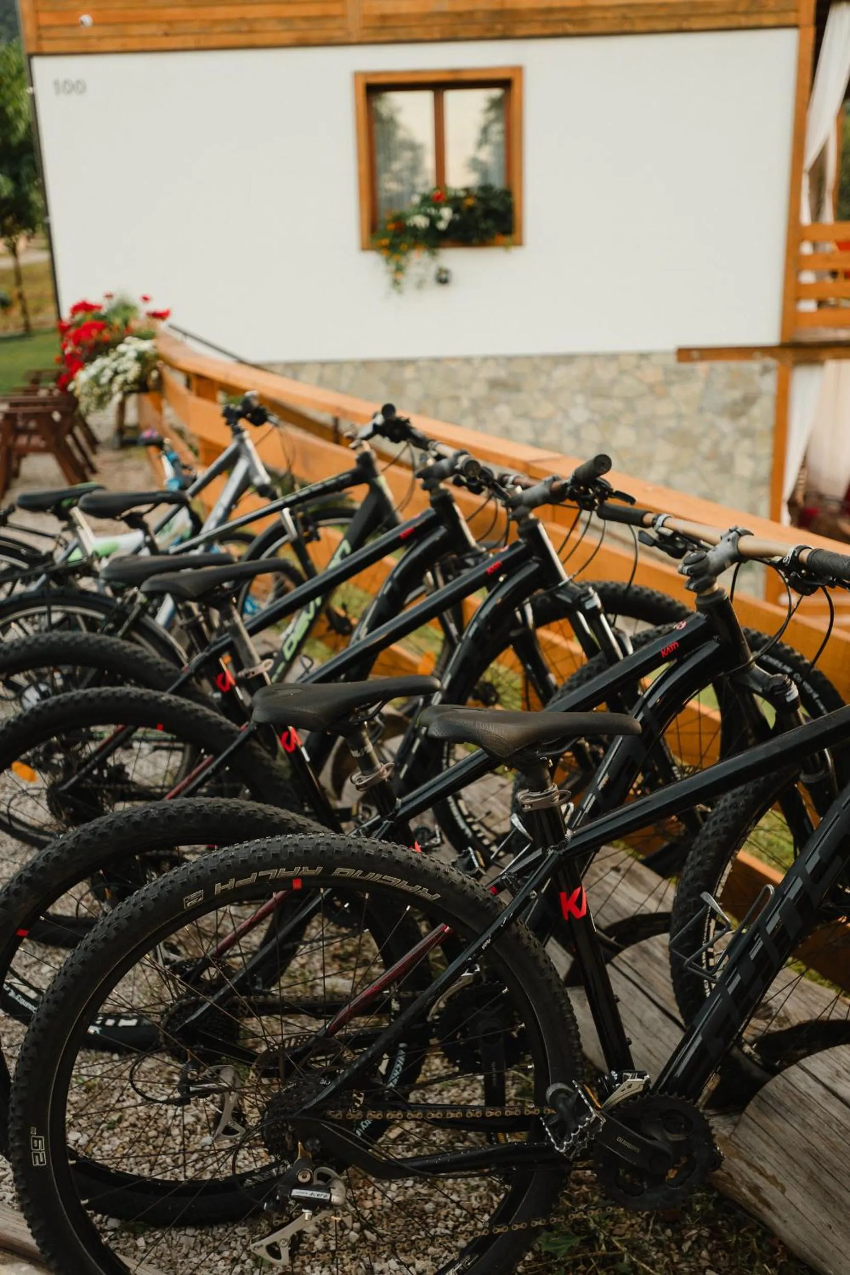 Cycling in B&B Apartments Burić Plitvice Lakes