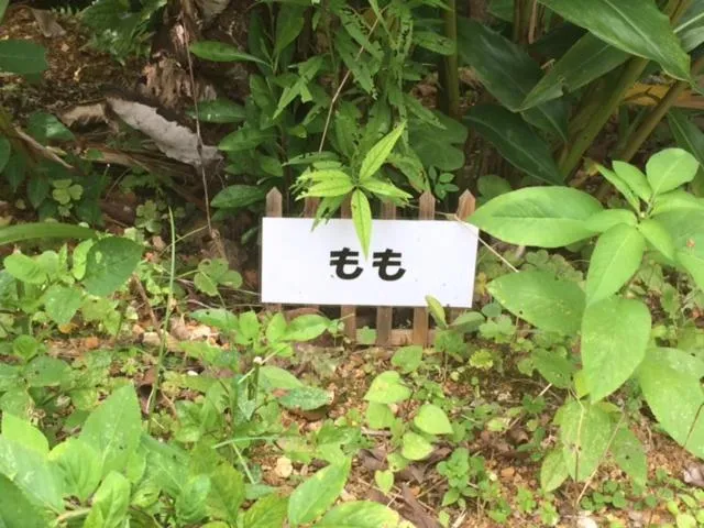 On site in Makiya Tokusukeya