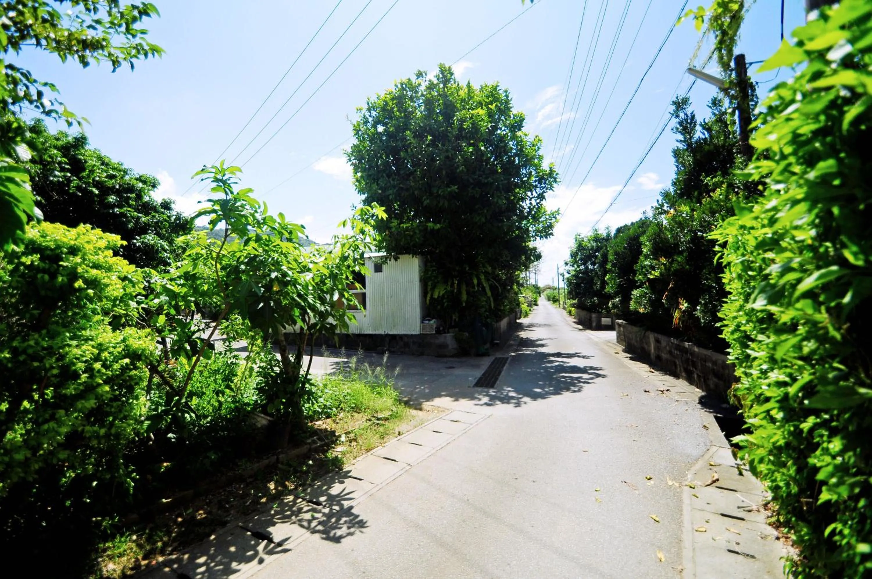 Neighbourhood in Makiya Tokusukeya