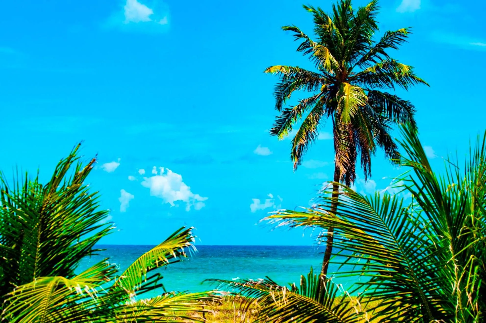 Natural landscape in Brisamar Hotel Pousada