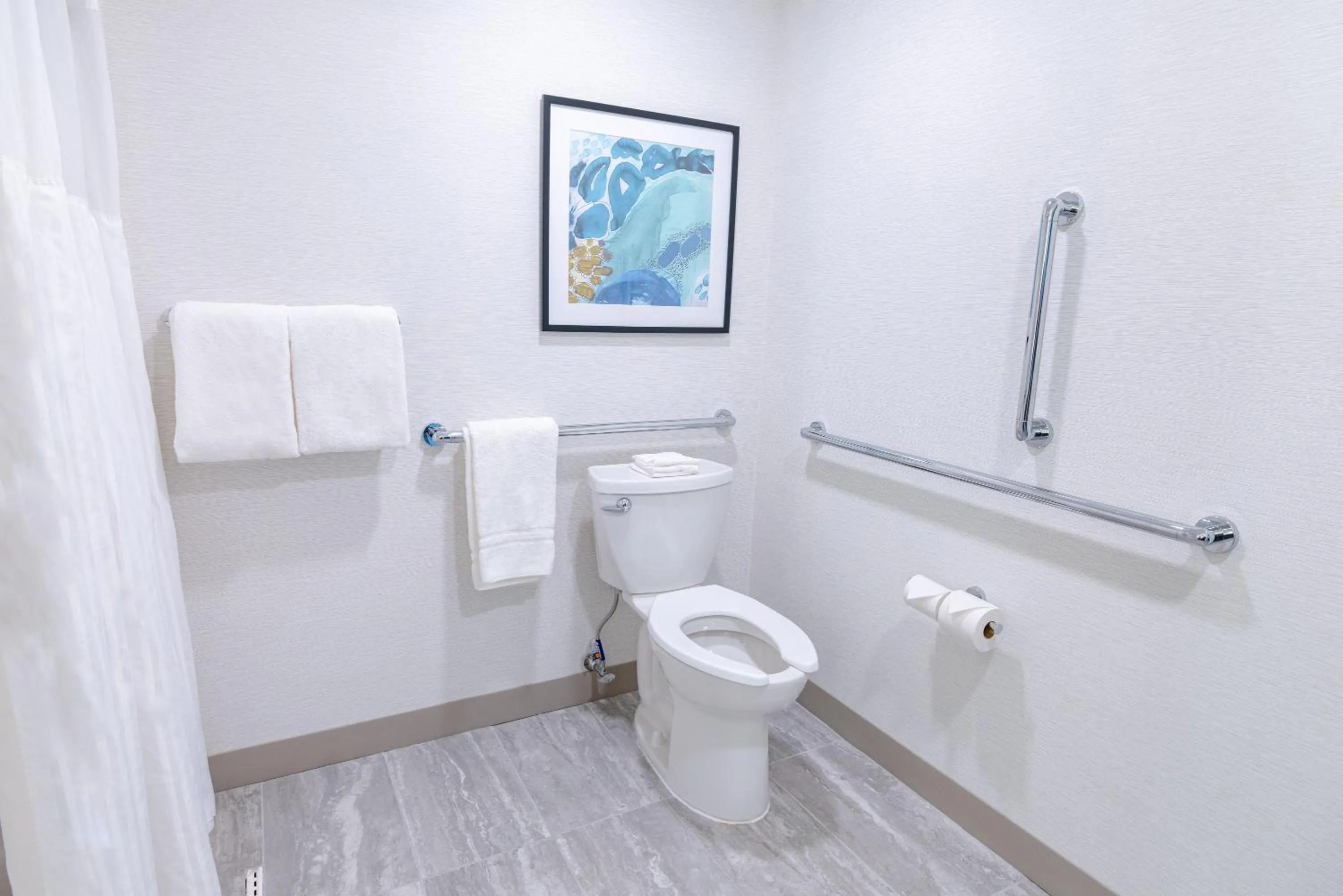 Toilet in Hilton Garden Inn Lakewood