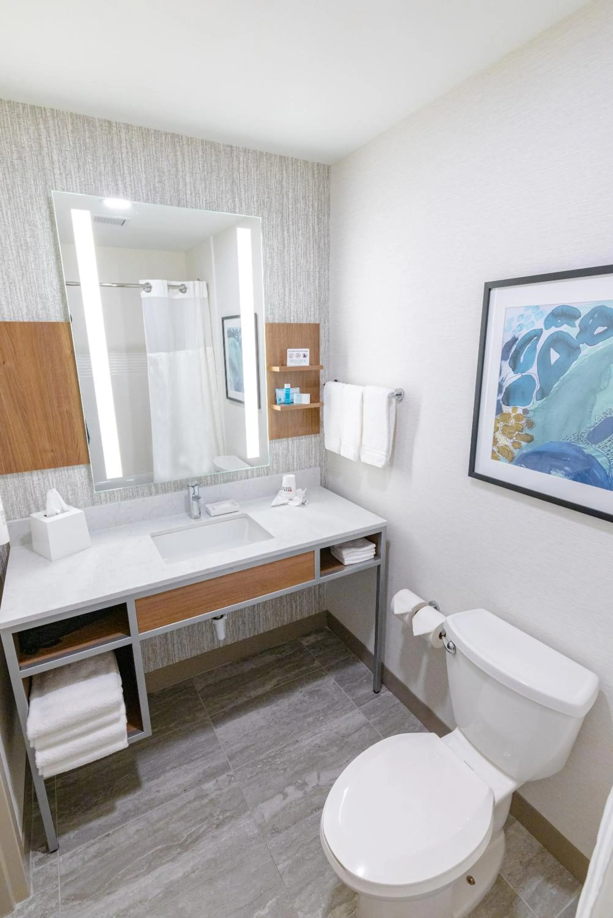 Bathroom, Bed in Hilton Garden Inn Lakewood