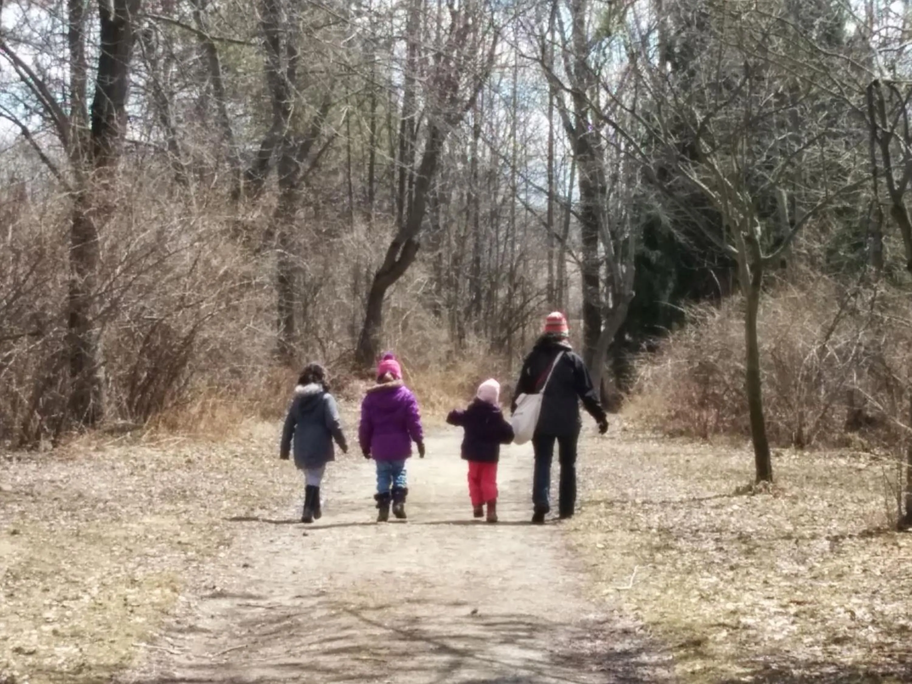Nearby landmark in Holiday Inn Burlington Conference Centre by IHG