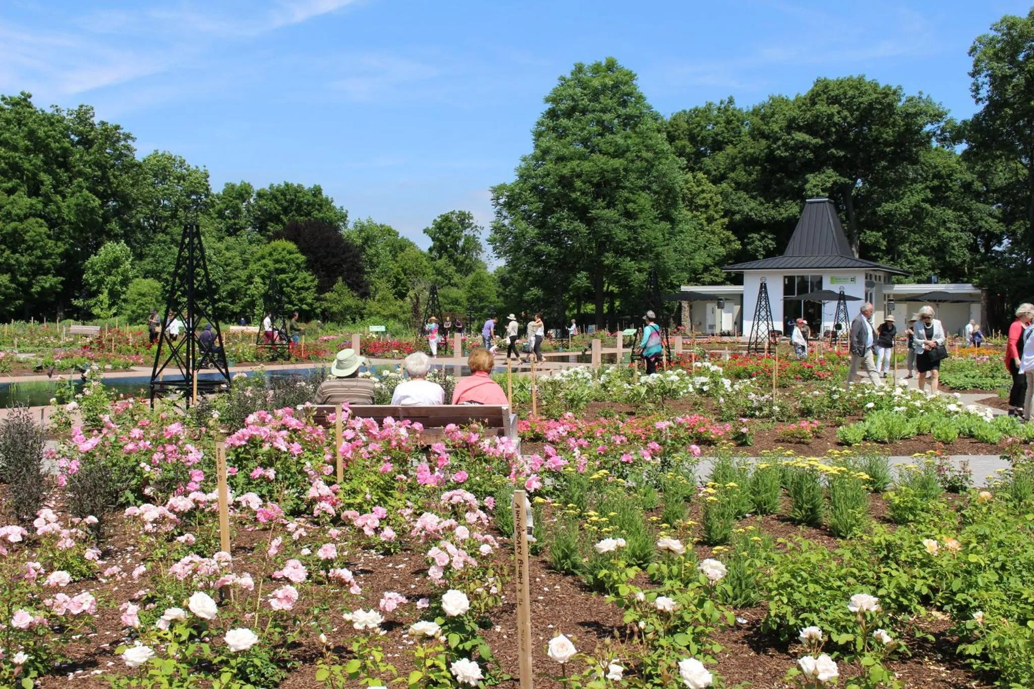 Nearby landmark in Holiday Inn Burlington Conference Centre by IHG