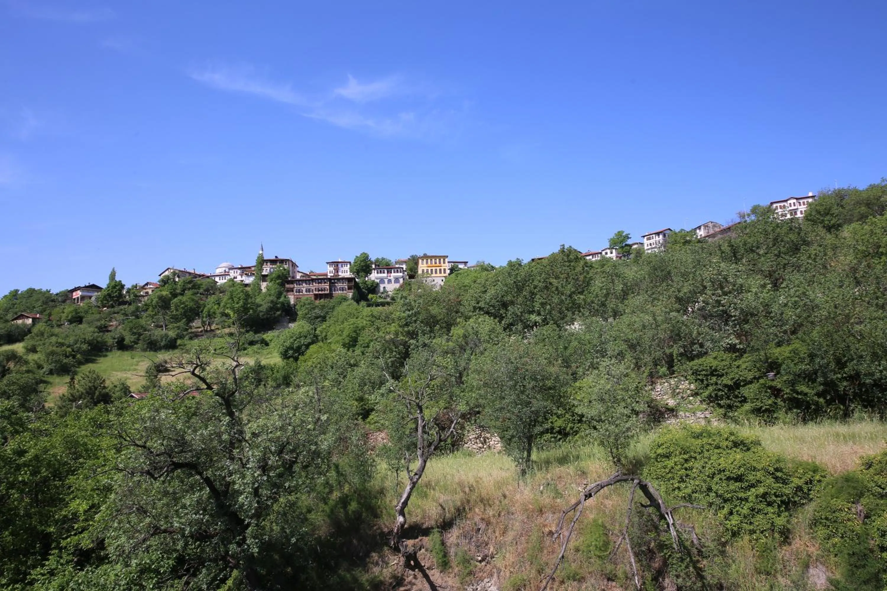 Natural landscape in Emiroğlu Konak Otel