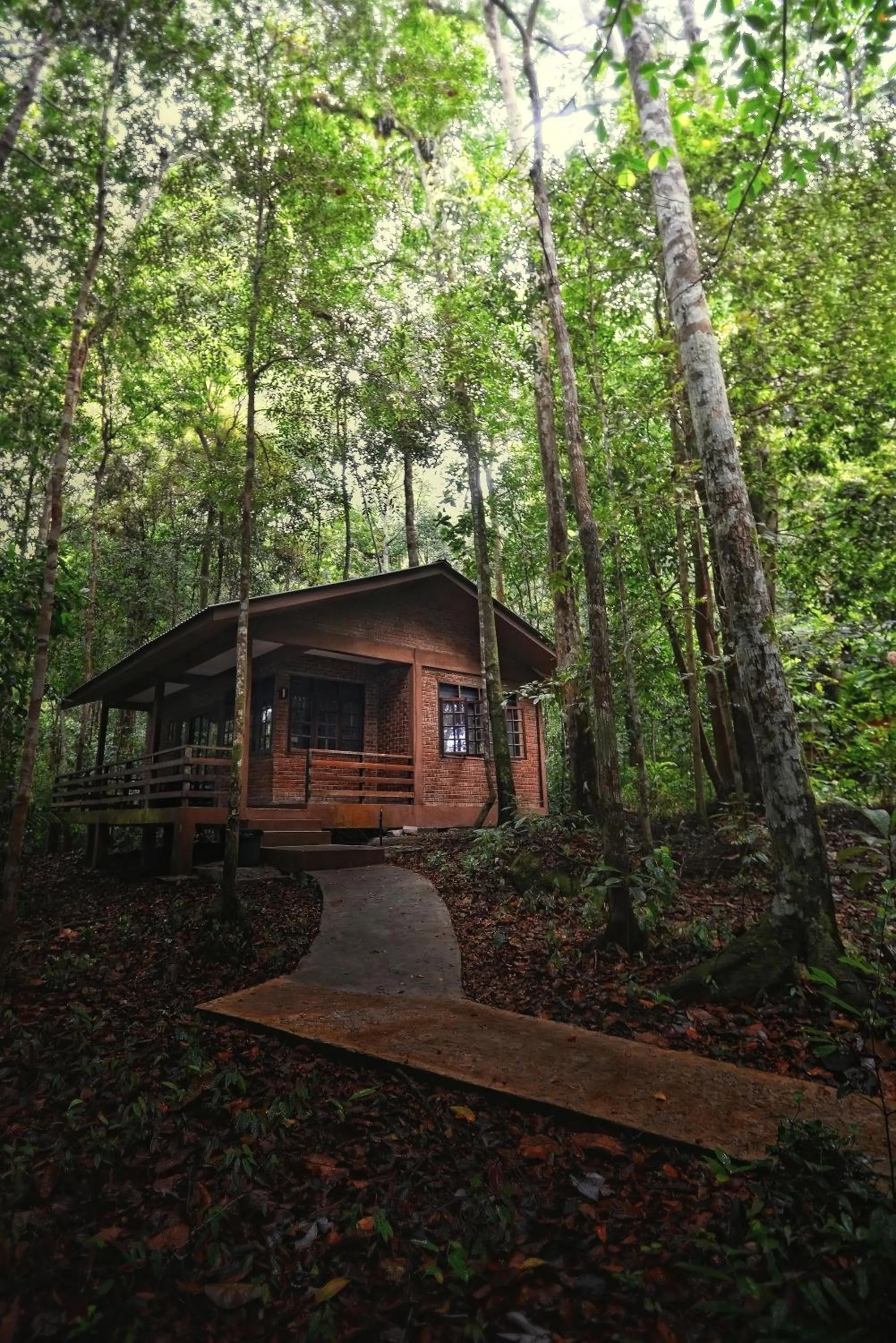 Permai Rainforest Resort