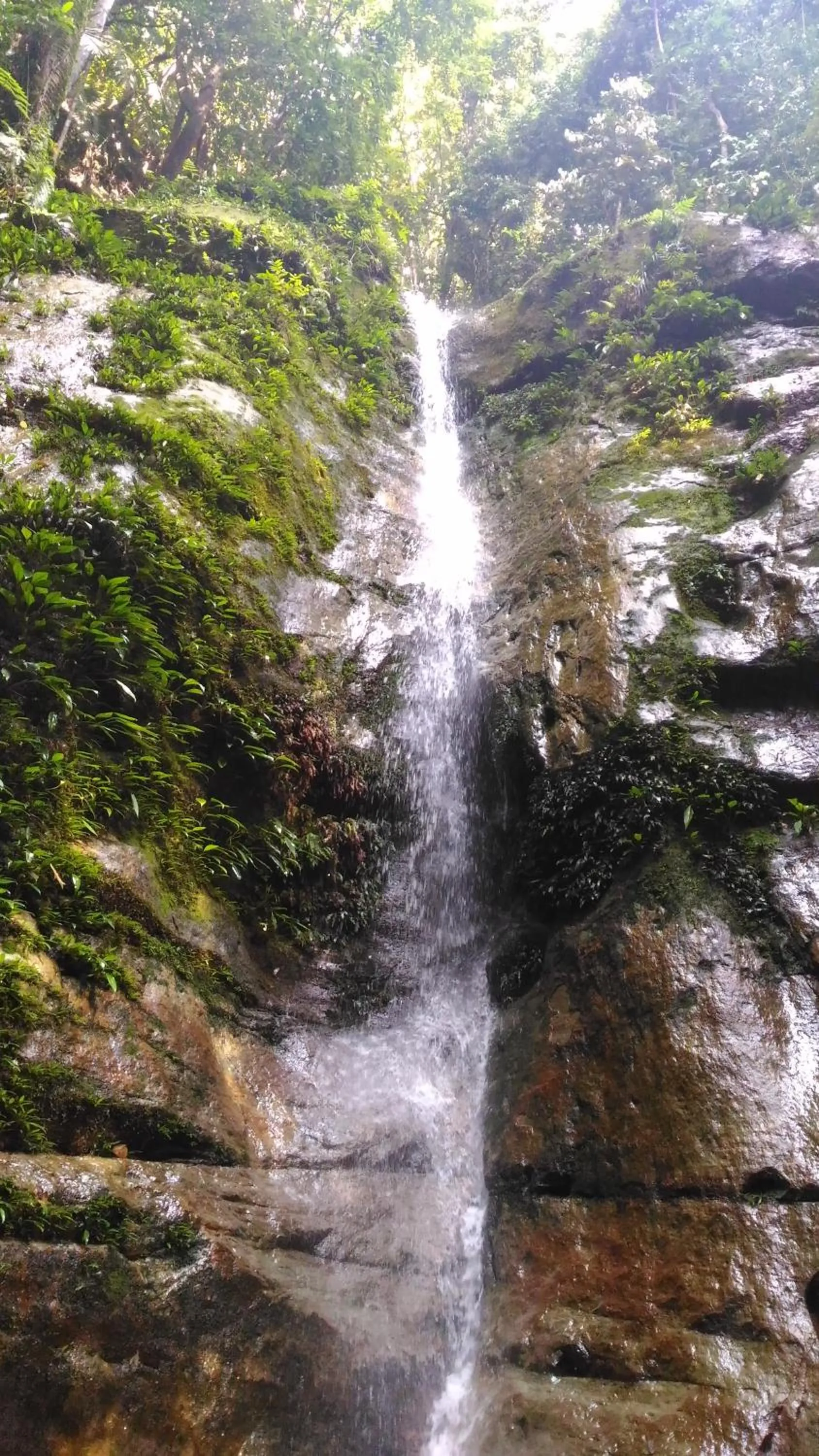 Permai Rainforest Resort