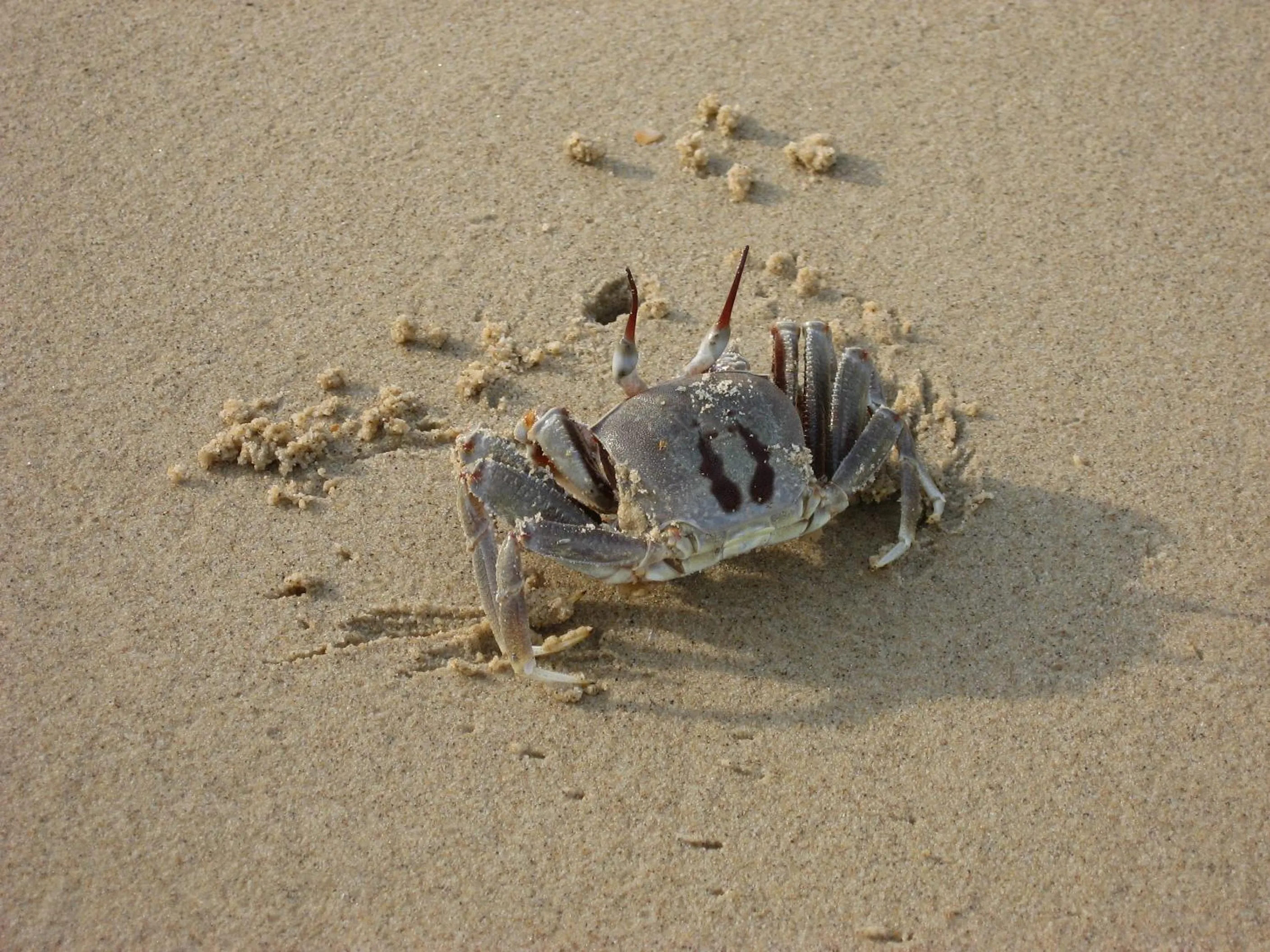 Day in Permai Rainforest Resort