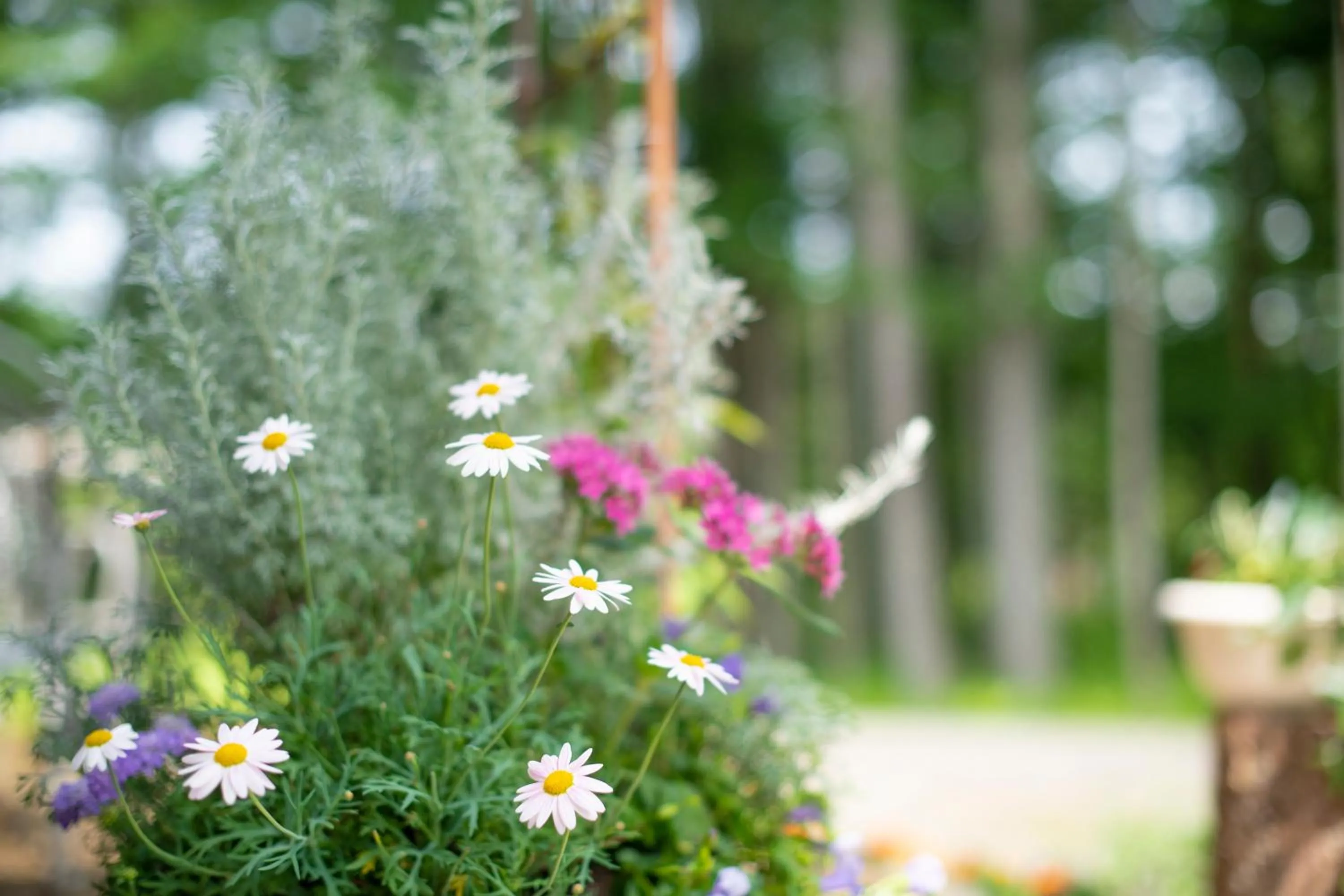 Garden in Yamanaka Lake Ryozan