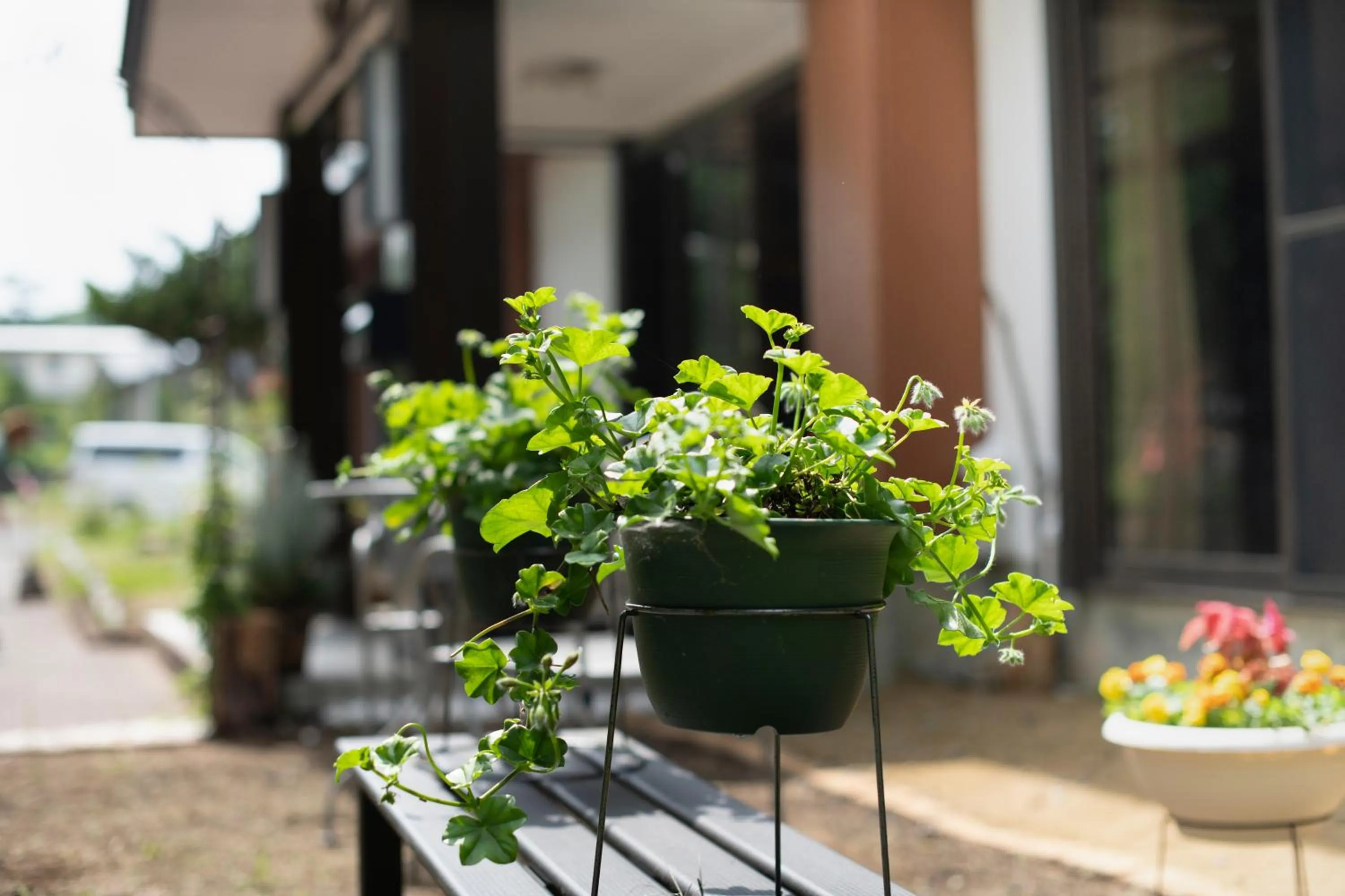 Property building in Yamanaka Lake Ryozan