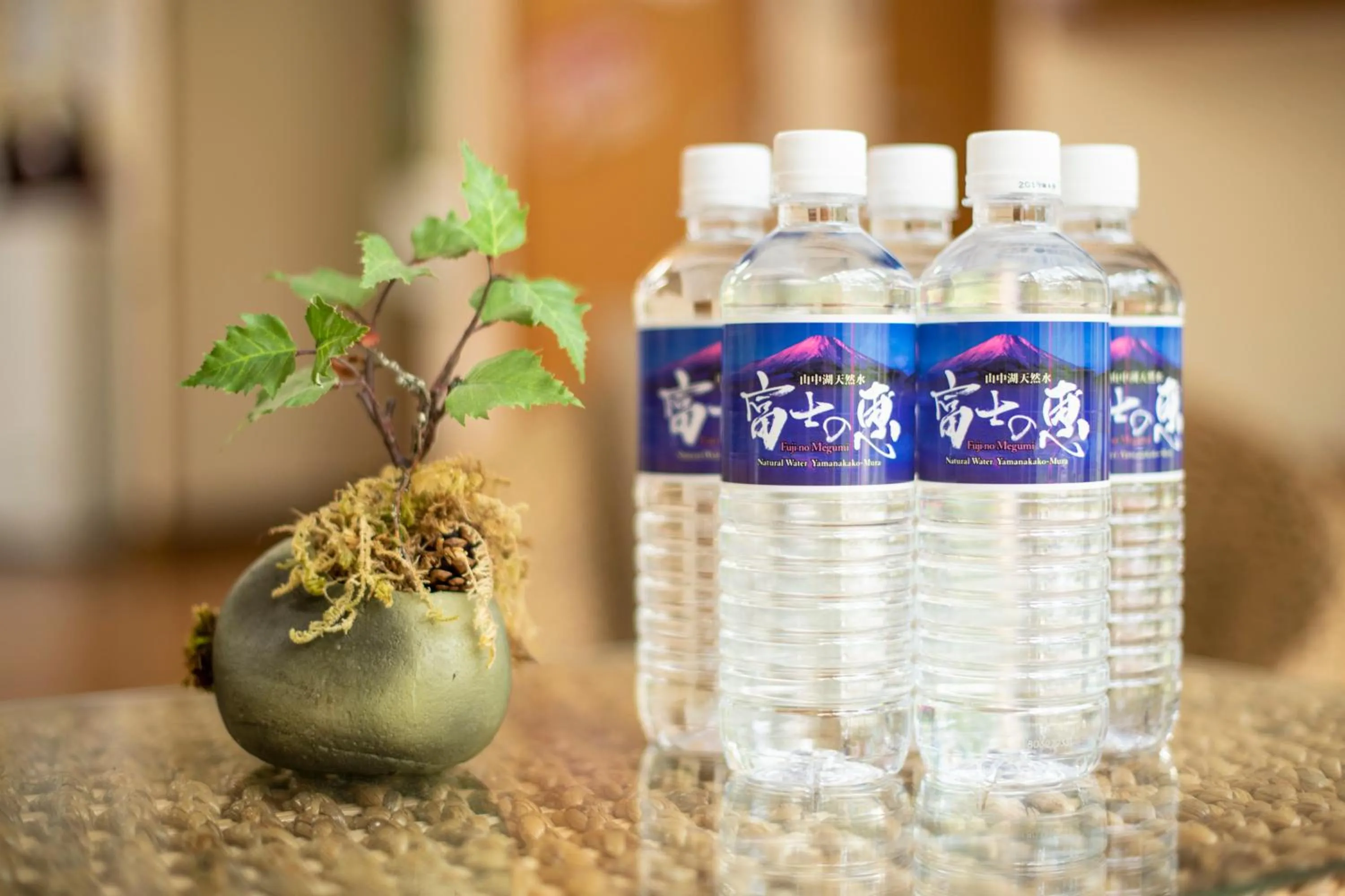 Food and drinks in Yamanaka Lake Ryozan