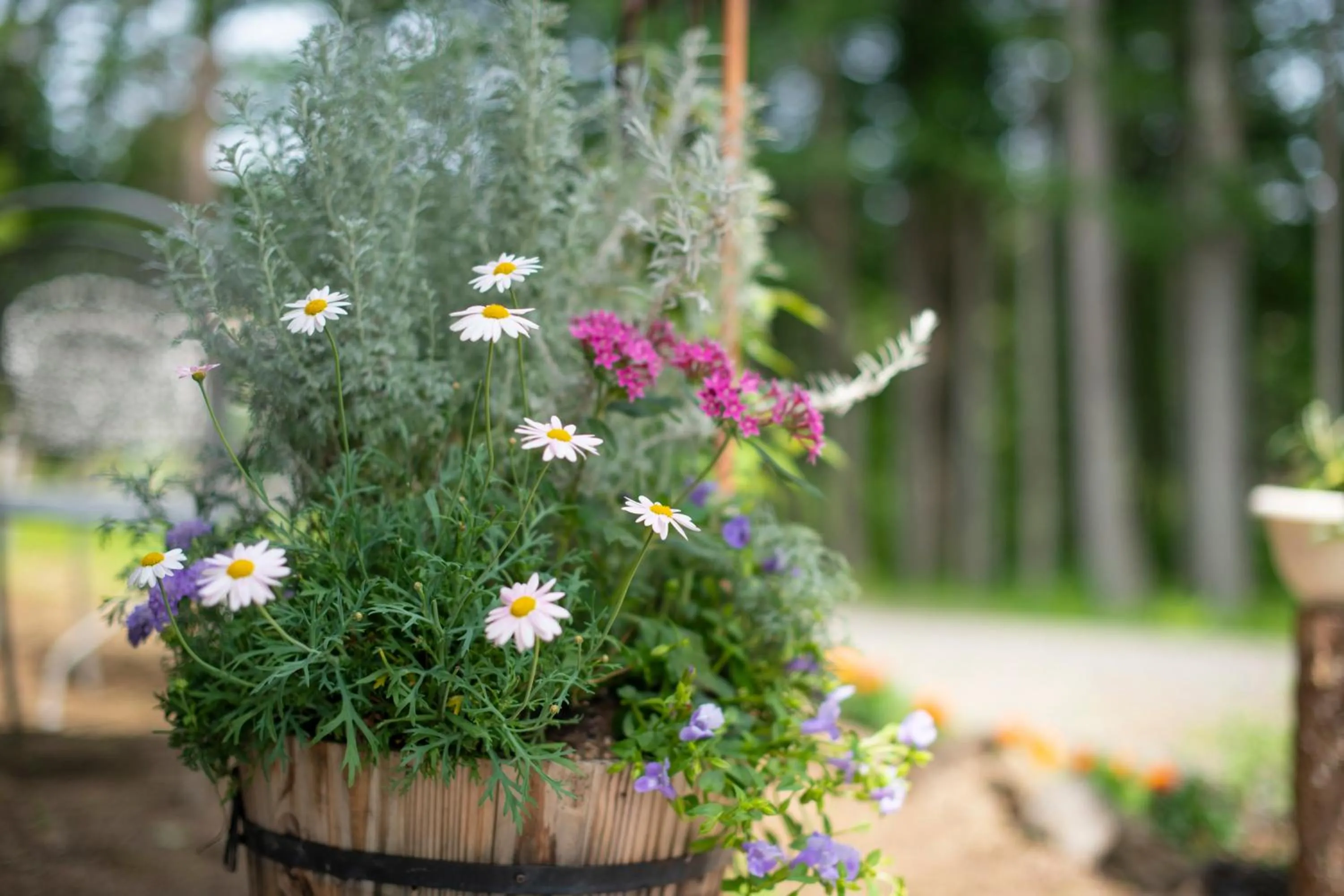 Garden in Yamanaka Lake Ryozan