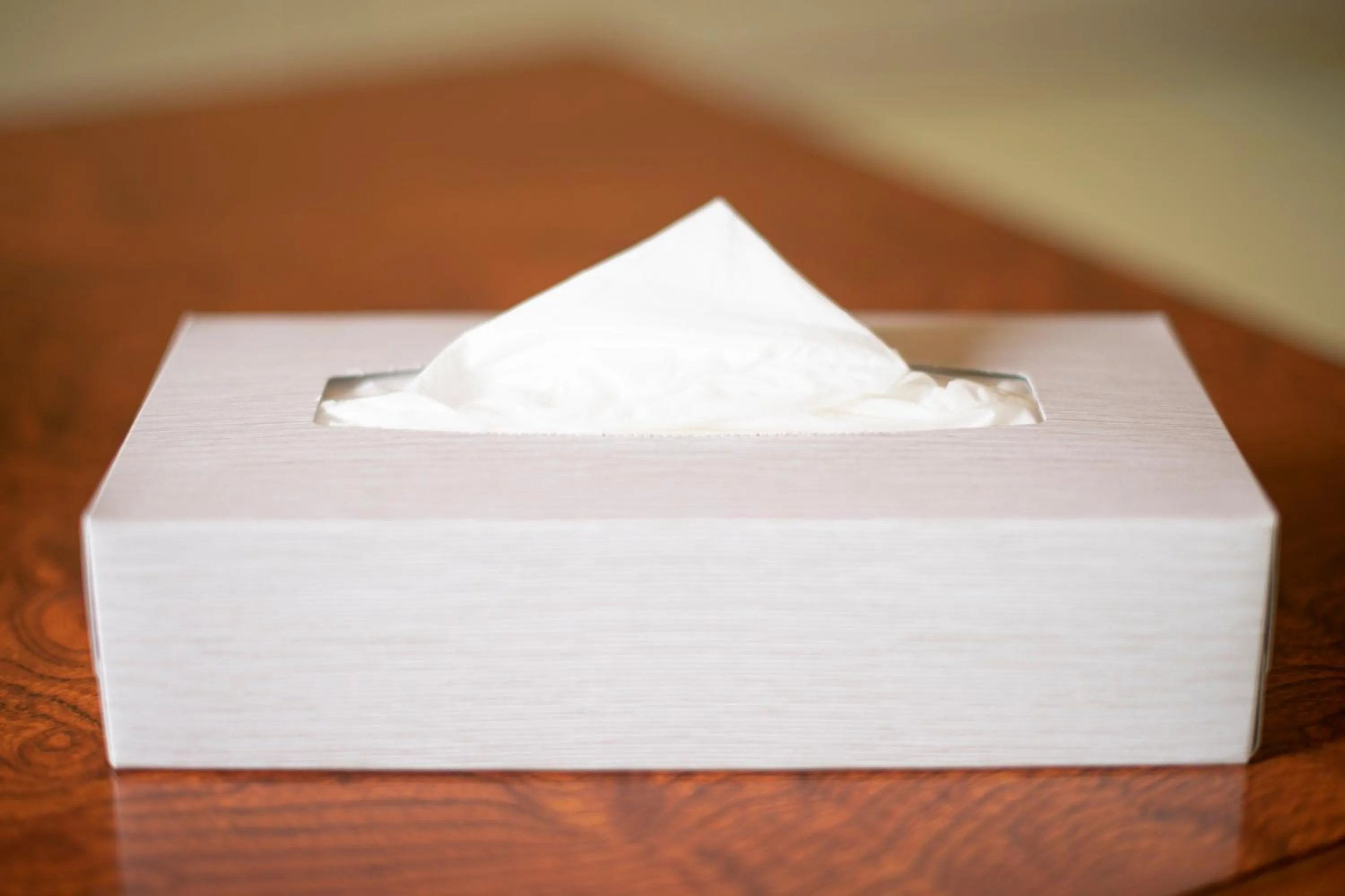 Other in Yamanaka Lake Ryozan