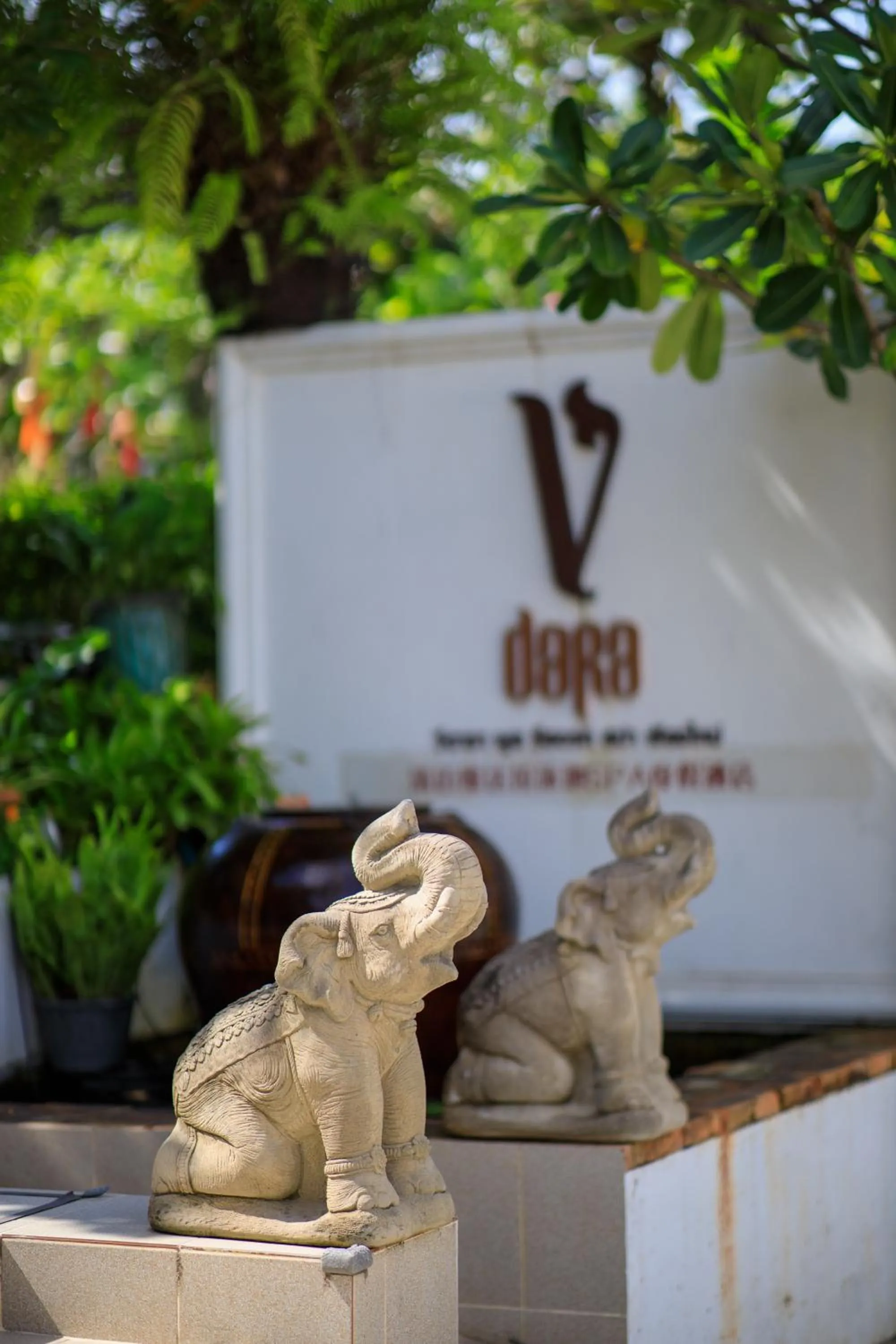 Vdara Pool Resort Spa Chiang Mai