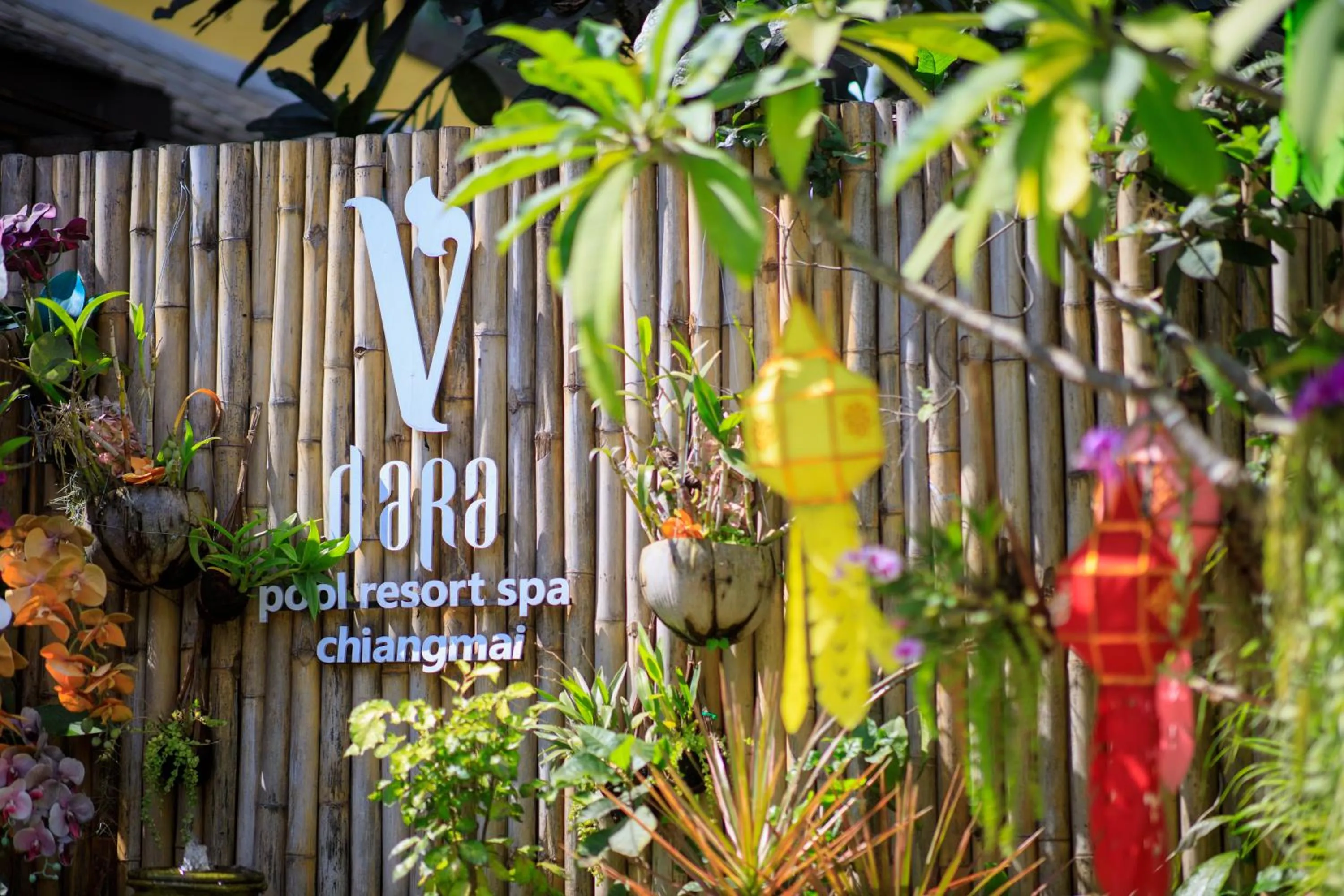 Vdara Pool Resort Spa Chiang Mai