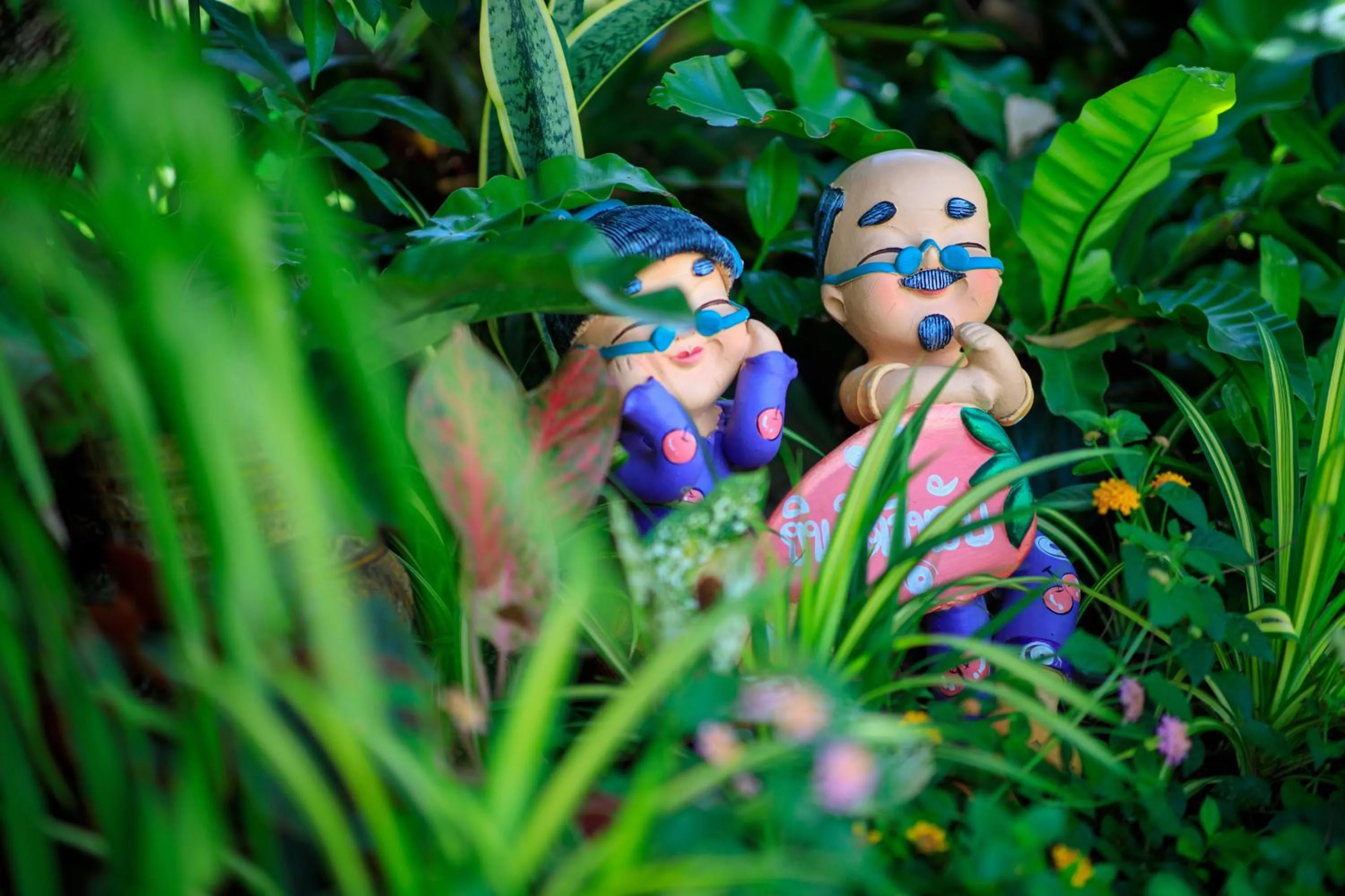 Vdara Pool Resort Spa Chiang Mai