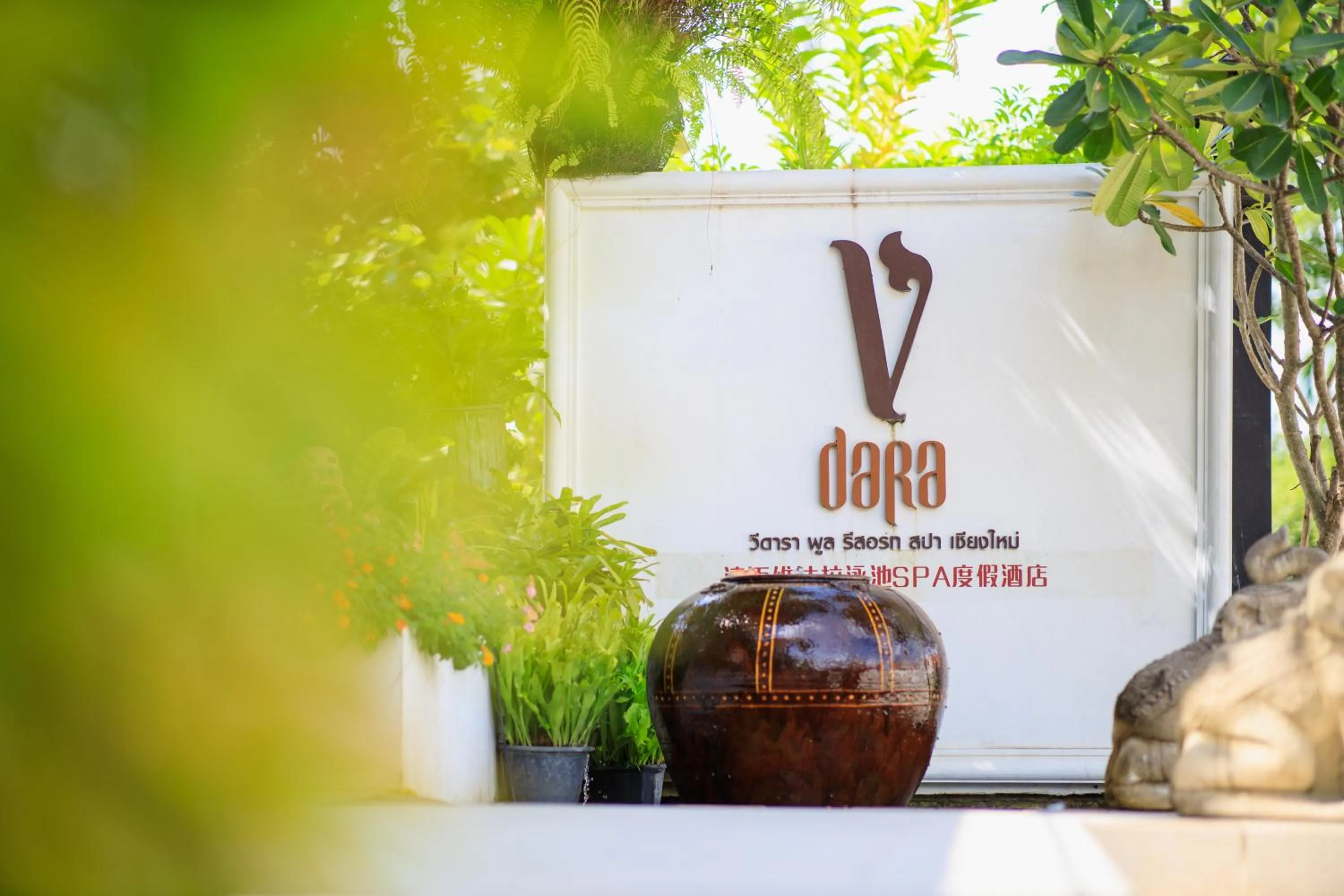 Vdara Pool Resort Spa Chiang Mai