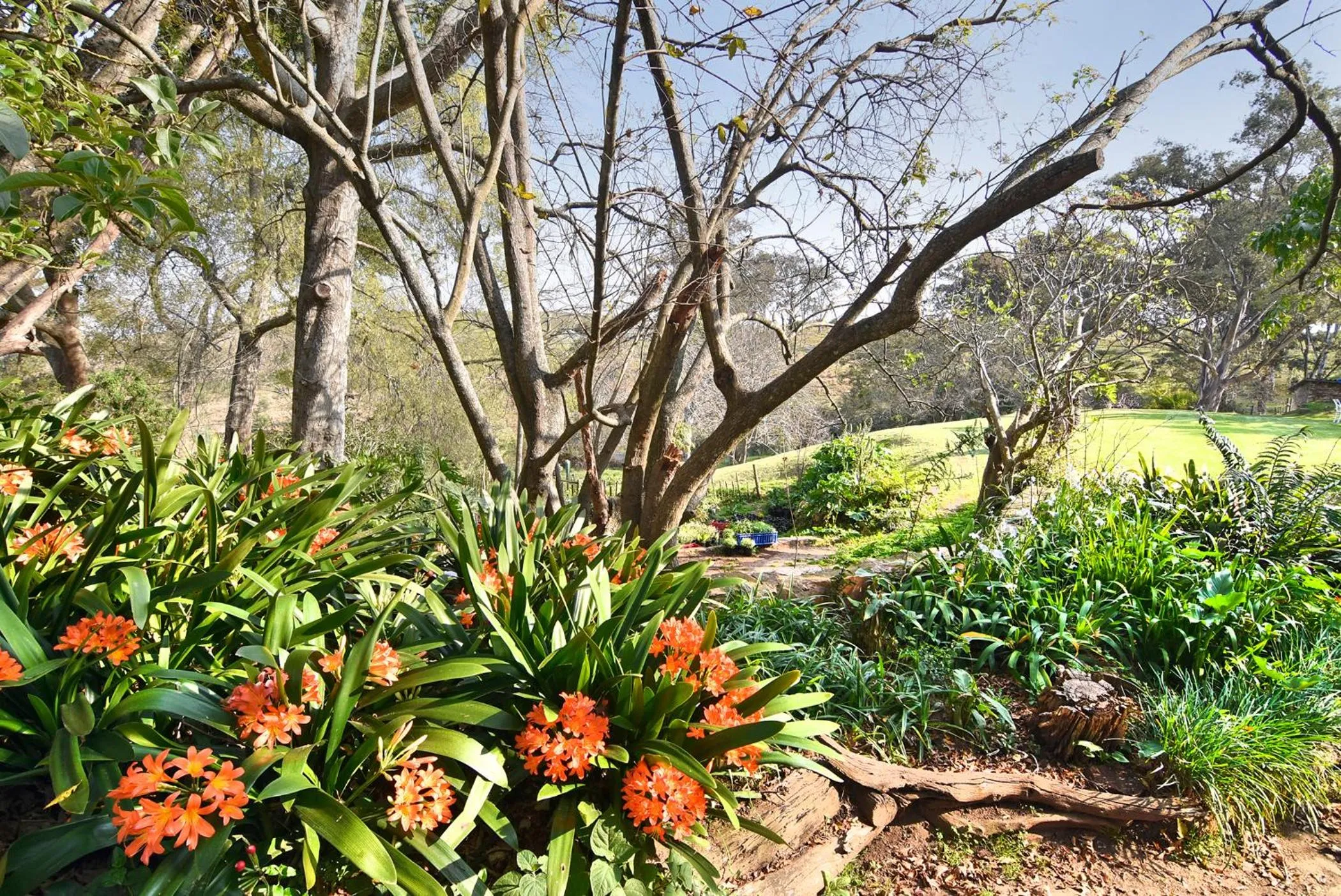 Day in Zuurberg Mountain Village