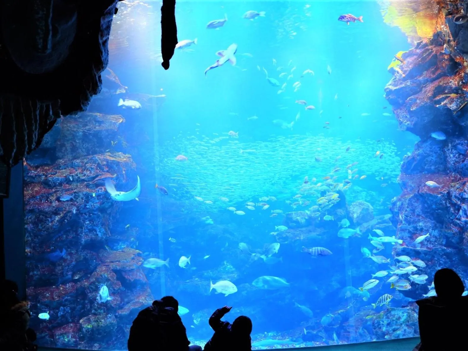 Nearby landmark in KOKO HOTEL Kyoto Shijo Karasuma - formerly Hotel Wing International Kyoto - Shijo Karasuma