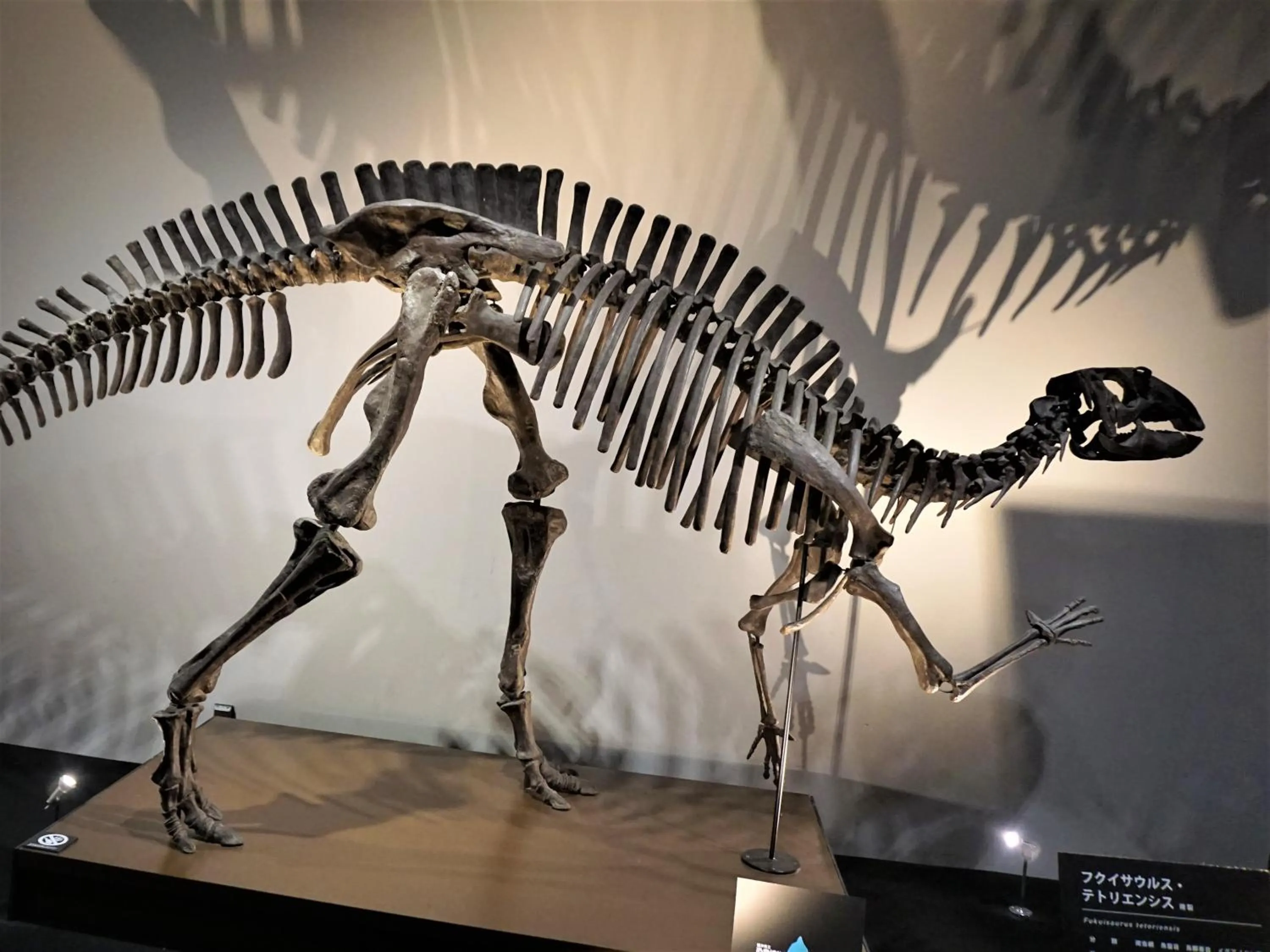 Nearby landmark in KOKO HOTEL Kyoto Shijo Karasuma - formerly Hotel Wing International Kyoto - Shijo Karasuma