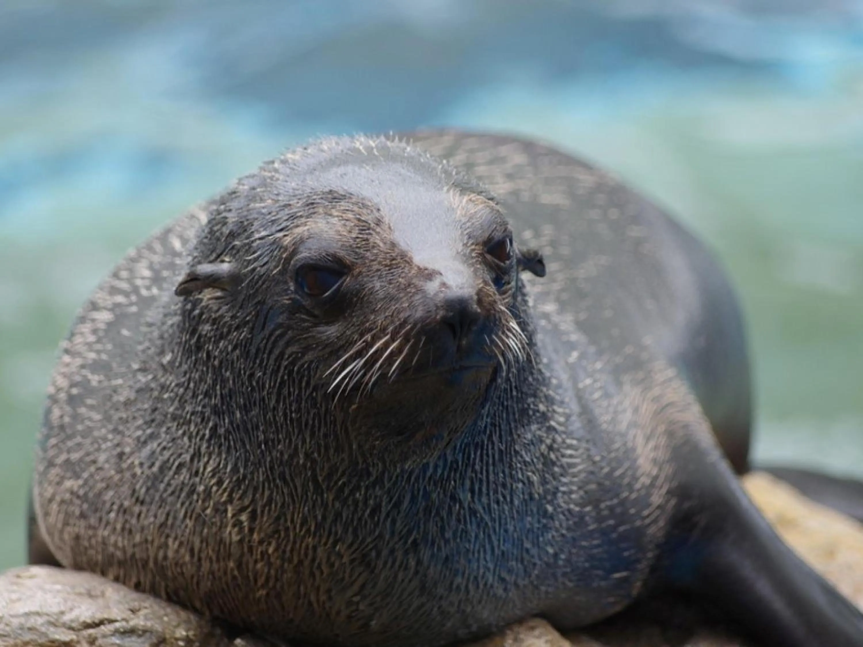 Nearby landmark in KOKO HOTEL Kyoto Shijo Karasuma - formerly Hotel Wing International Kyoto - Shijo Karasuma