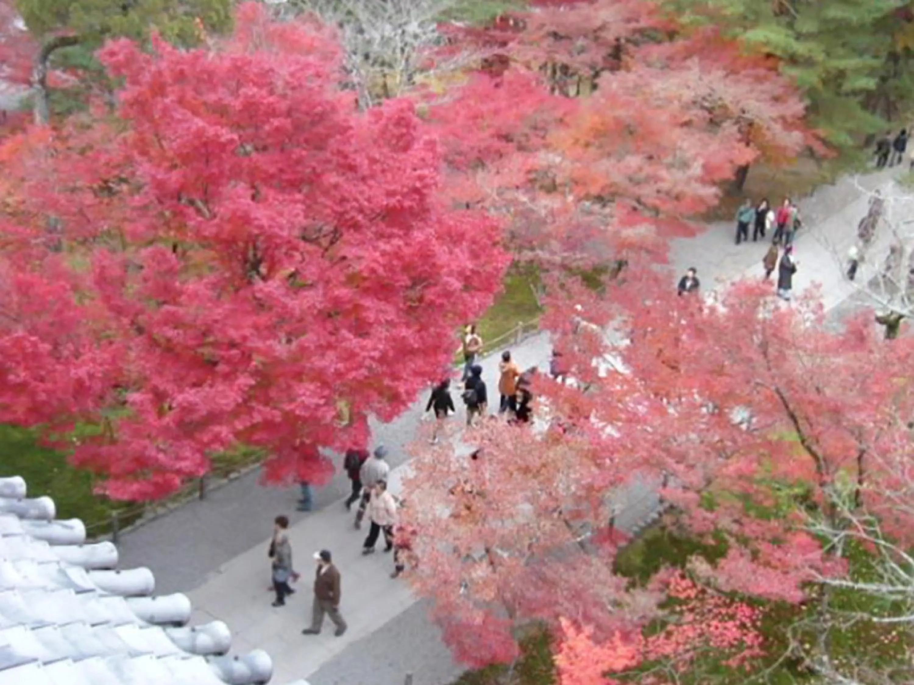 Nearby landmark in KOKO HOTEL Kyoto Shijo Karasuma - formerly Hotel Wing International Kyoto - Shijo Karasuma