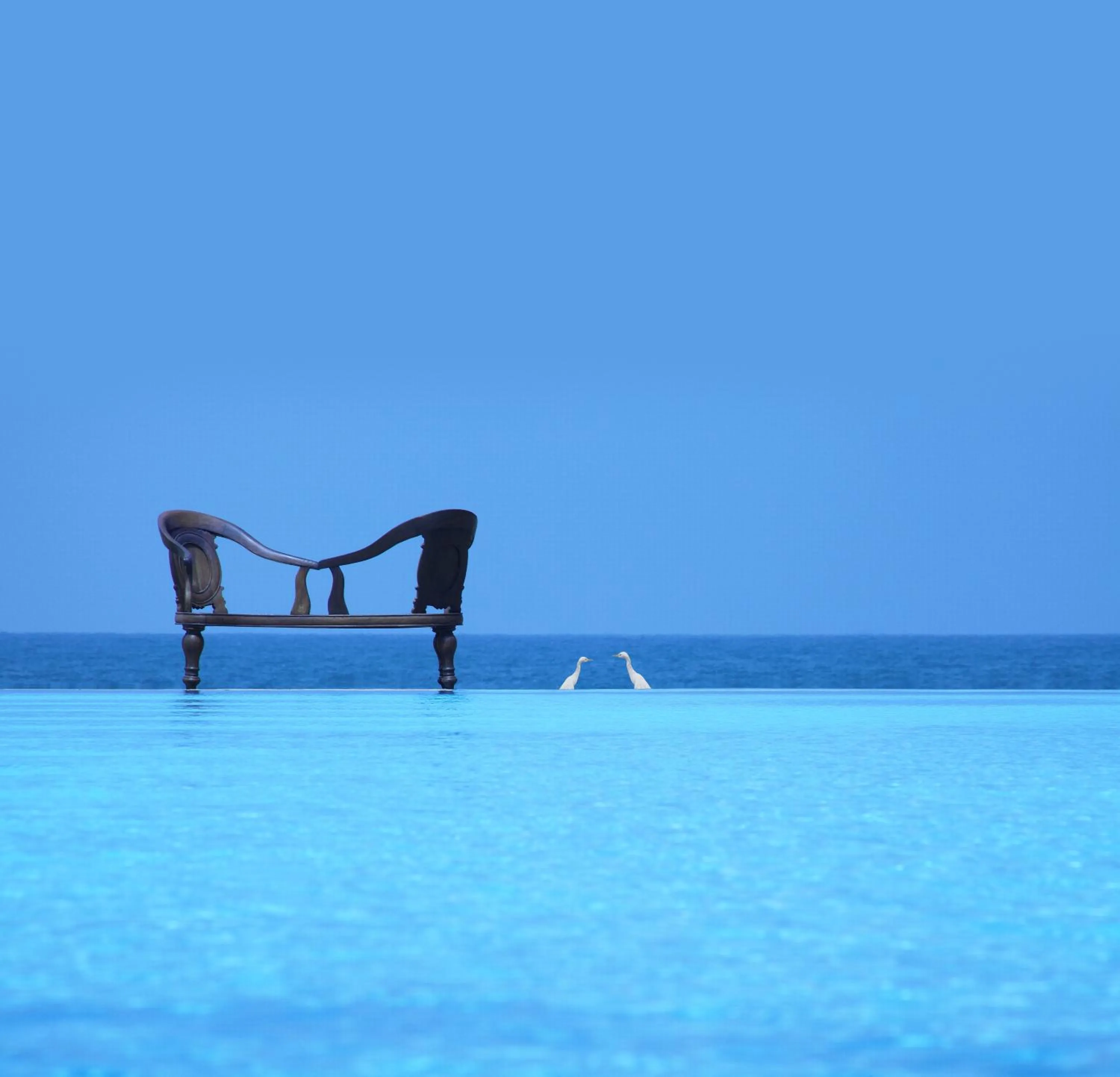 Pool view in Heritance Ahungalla