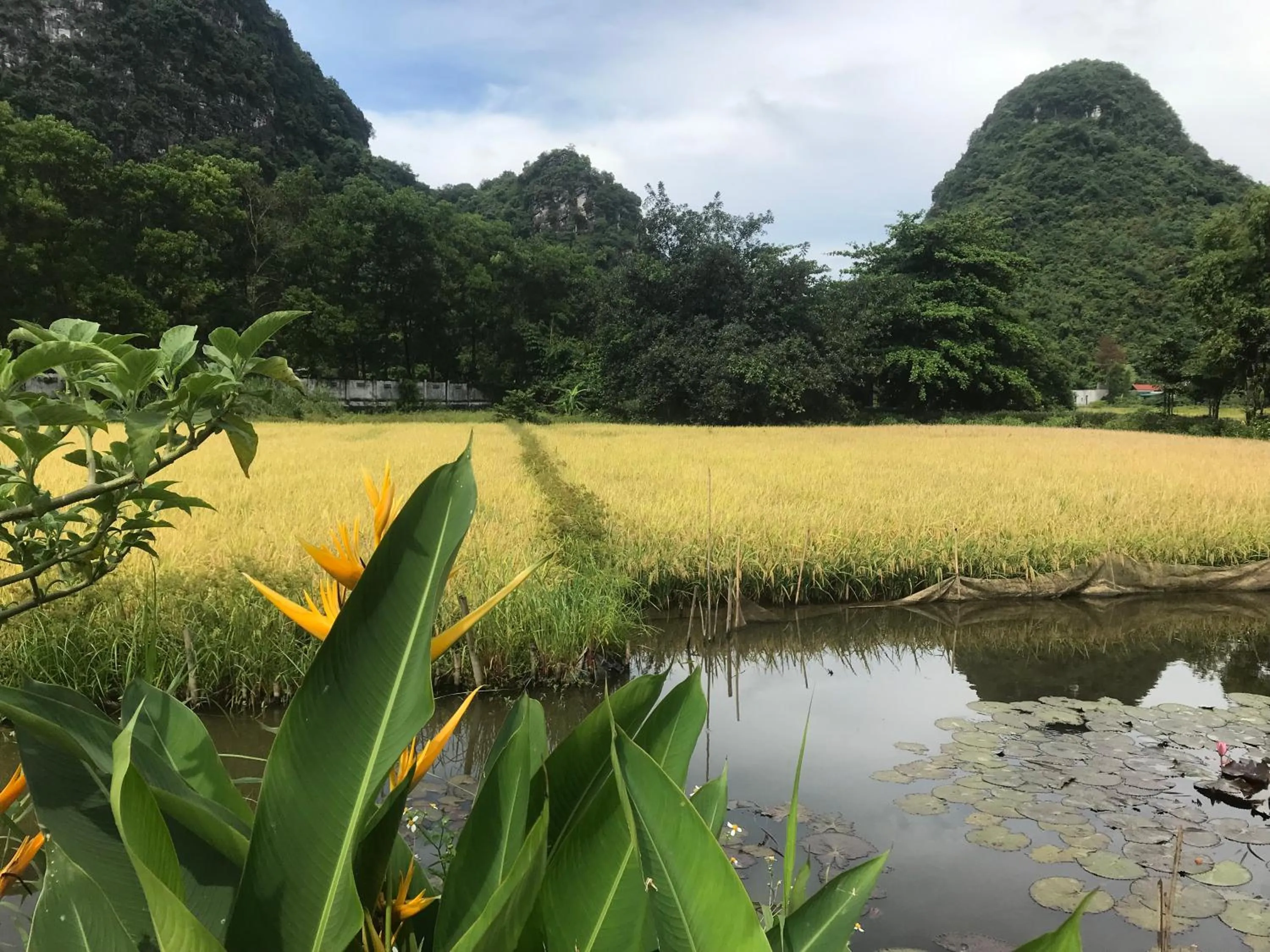 Tam Coc Eco House