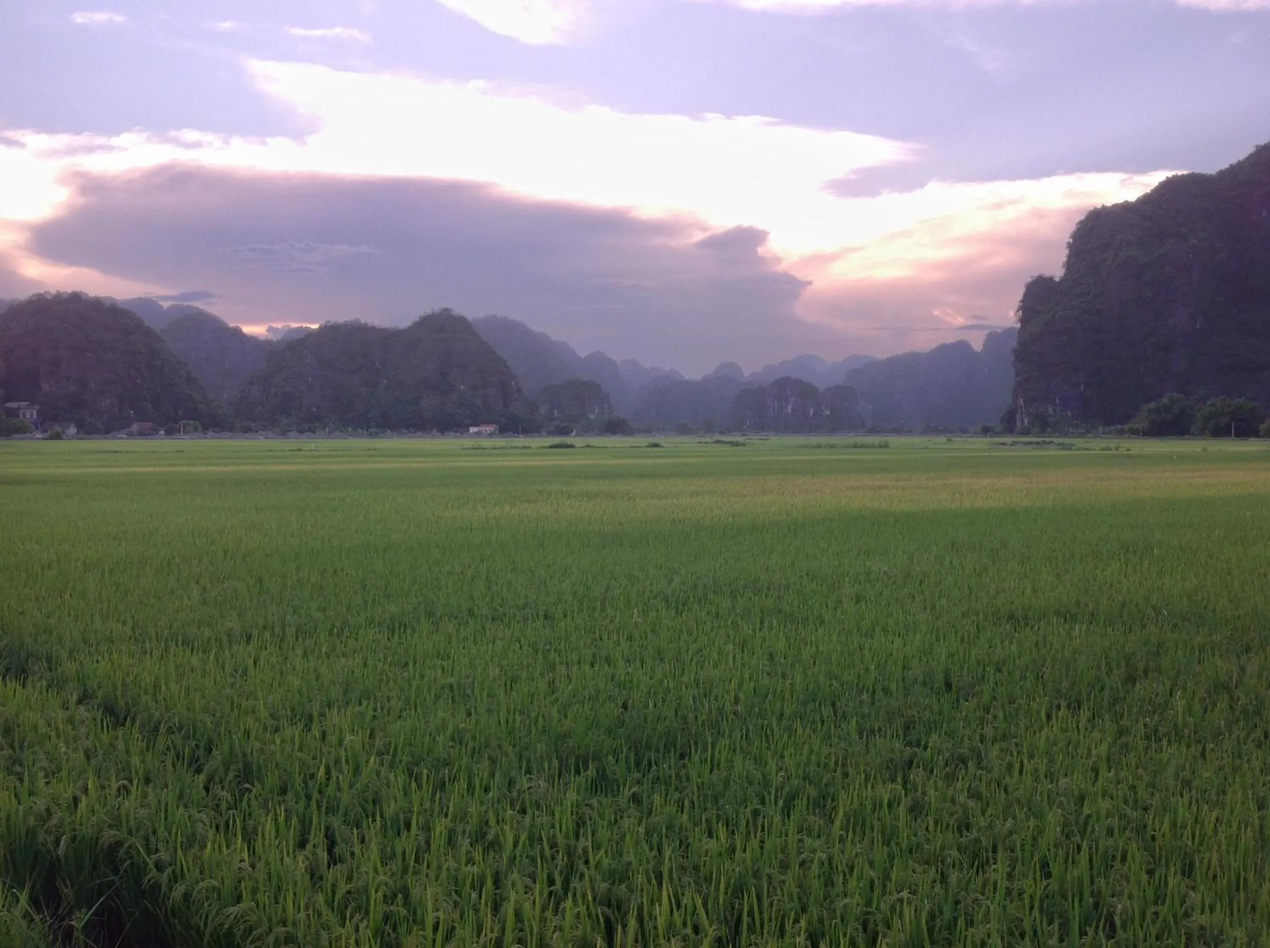 Natural landscape in Tam Coc Eco House