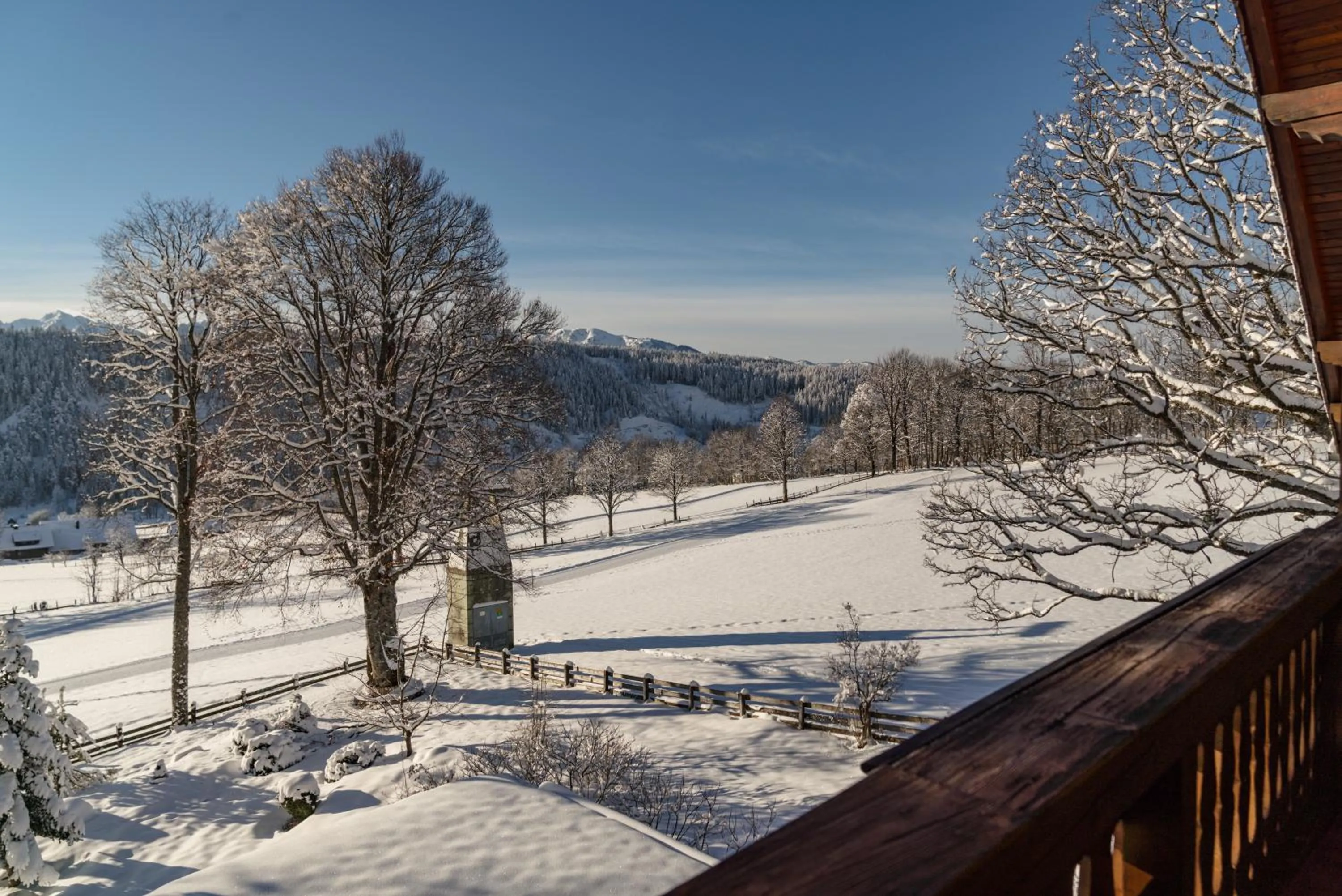 Day in Hotel Ramsauhof Pool & Wellness Breakfast & Light Dinner Buffet