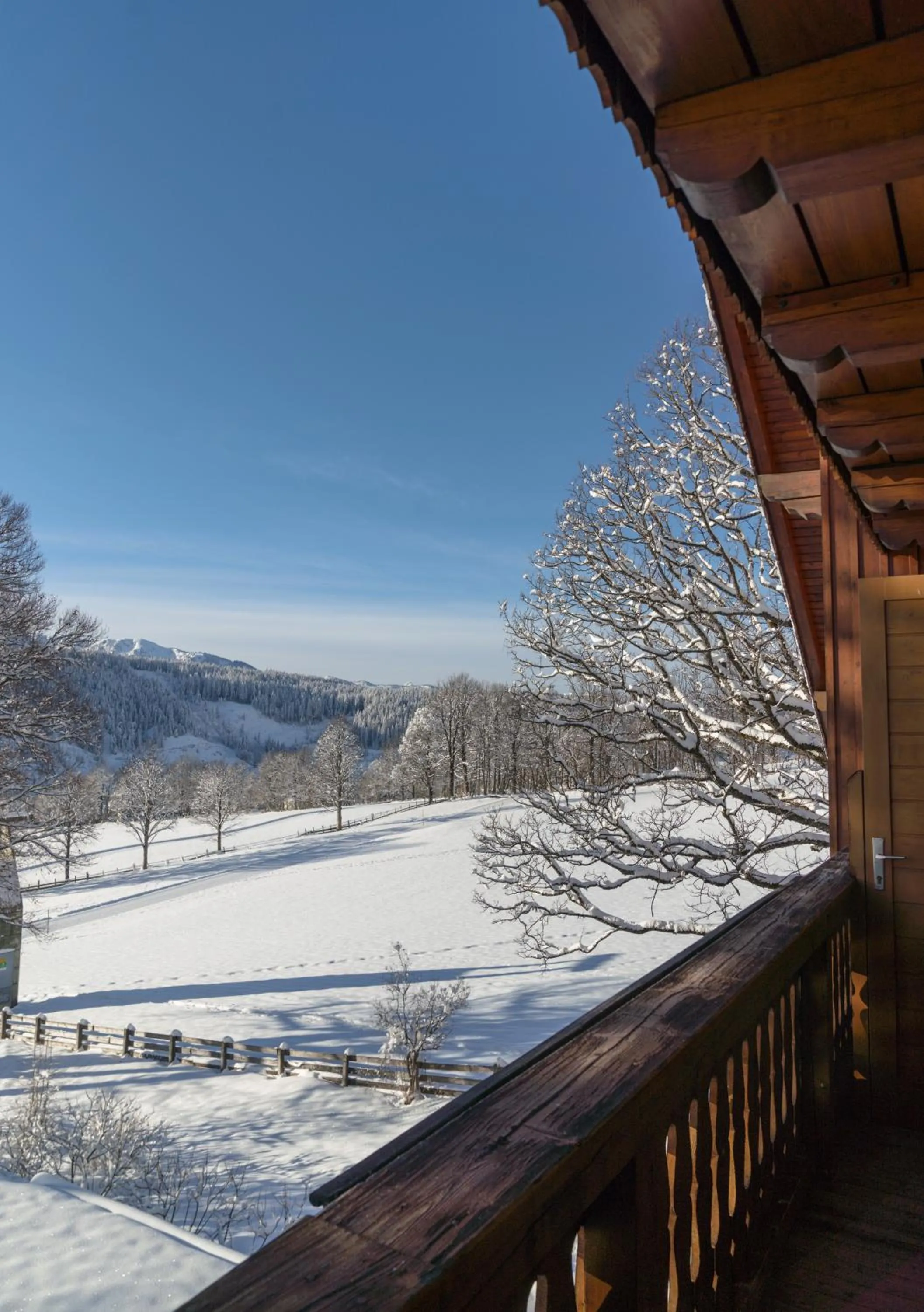 Day in Hotel Ramsauhof Pool & Wellness Breakfast & Light Dinner Buffet