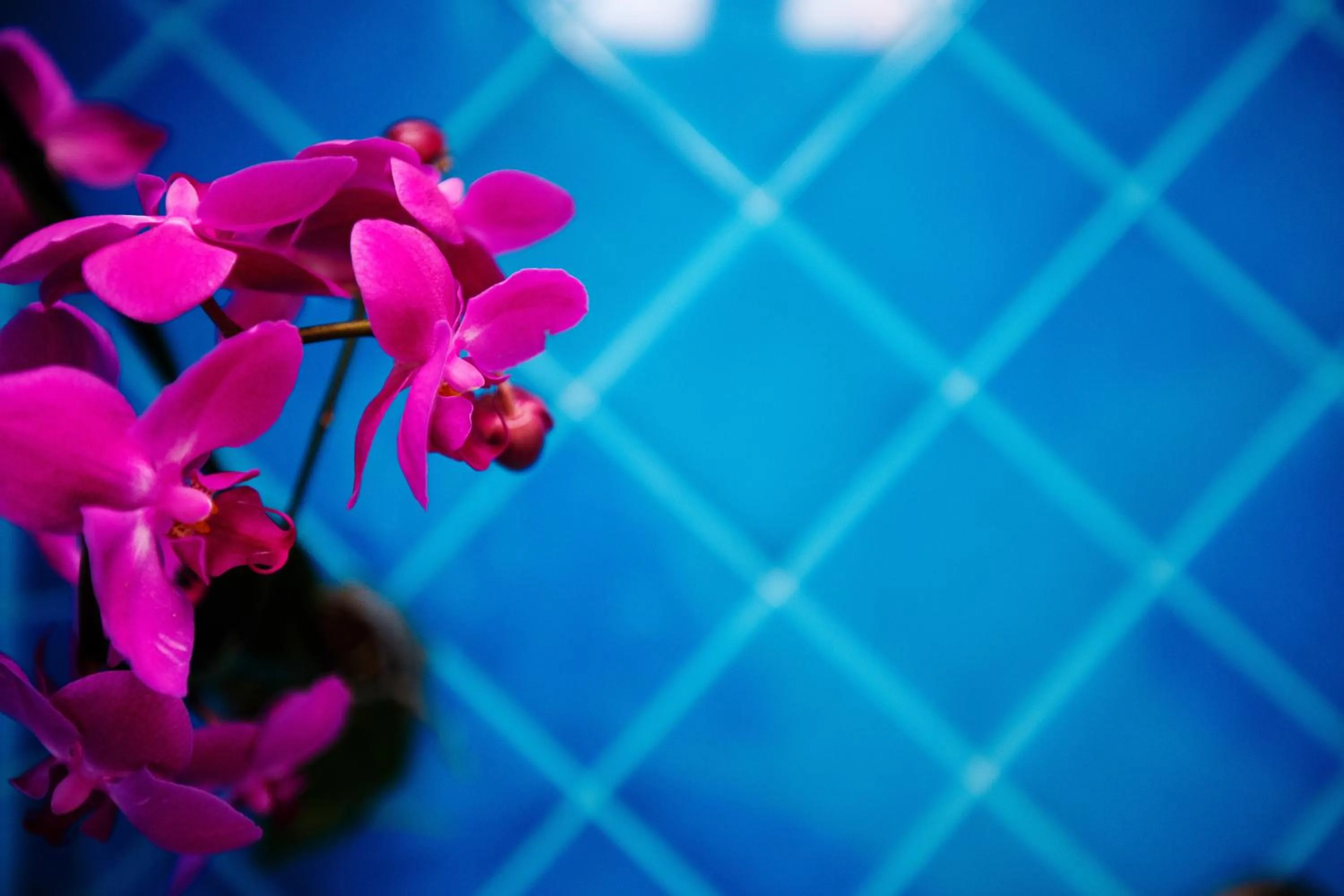 Other in Relais Il Pennino