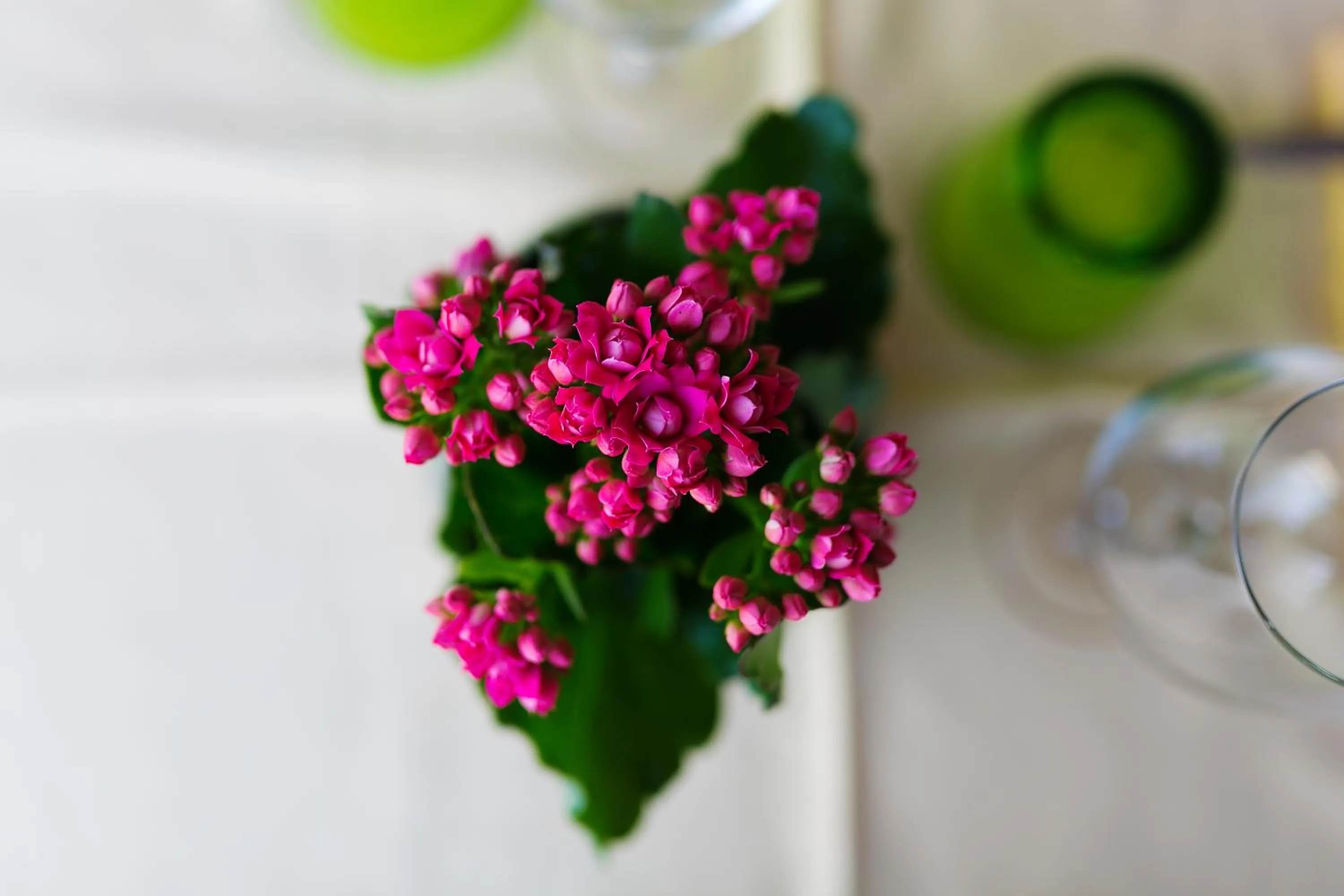Coffee/tea facilities in Relais Il Pennino