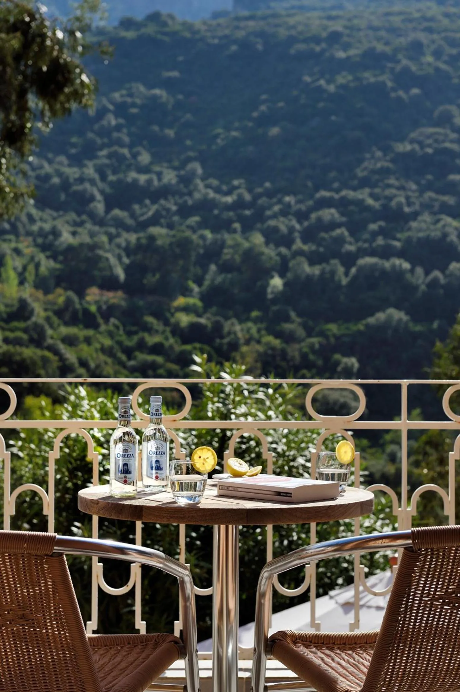 Balcony/Terrace in Logis Hotel Le Lonca