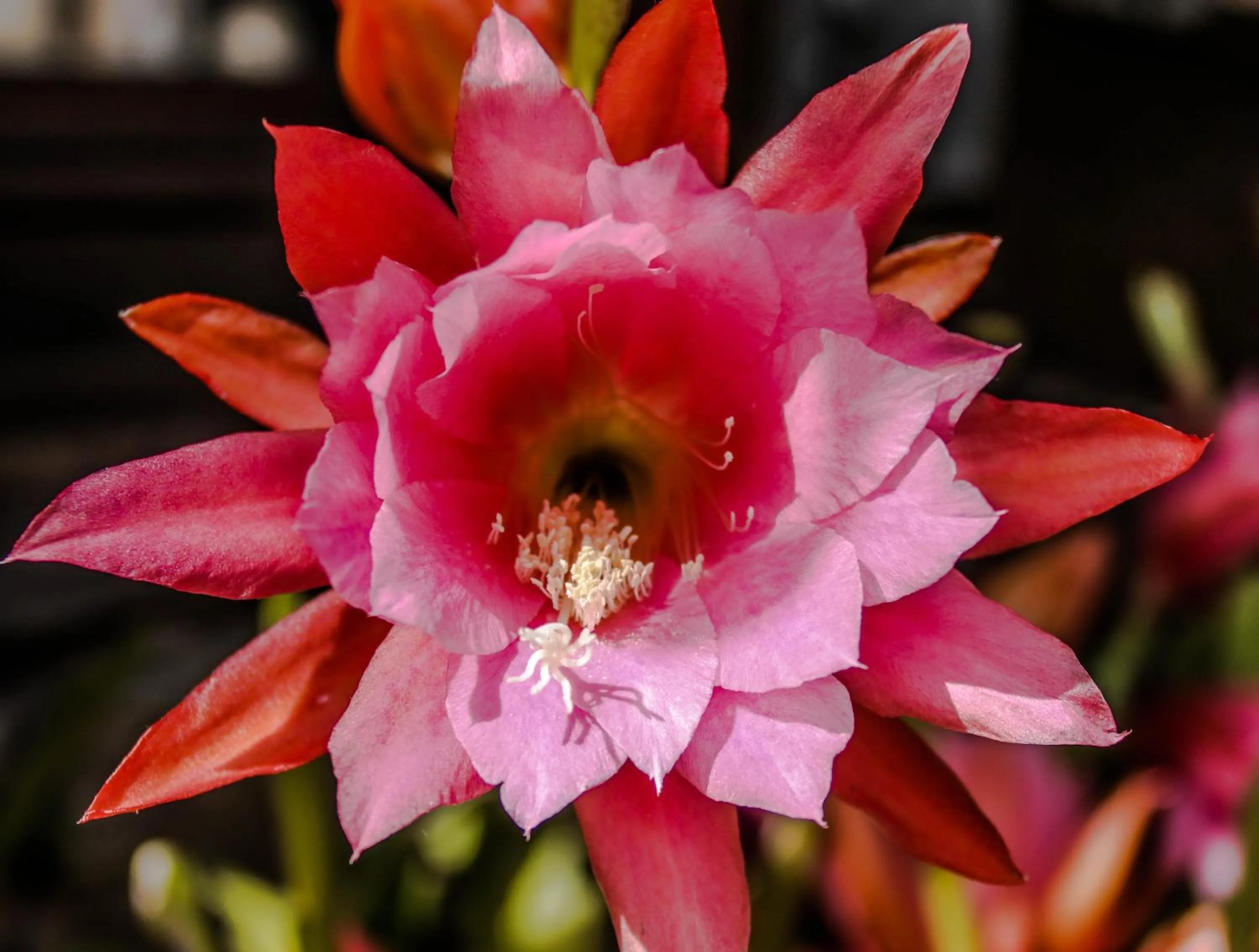 Natural landscape in Château De Siran - Hôtel & Spa