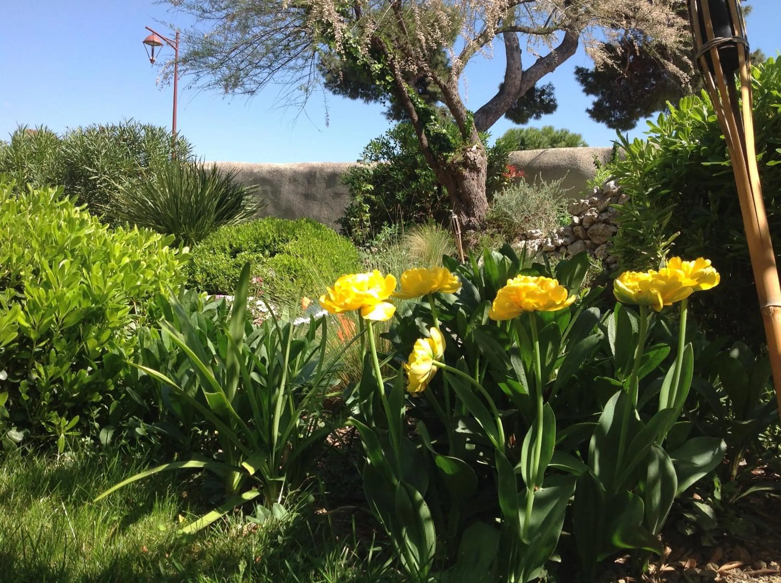 Facade/entrance in Château De Siran - Hôtel & Spa