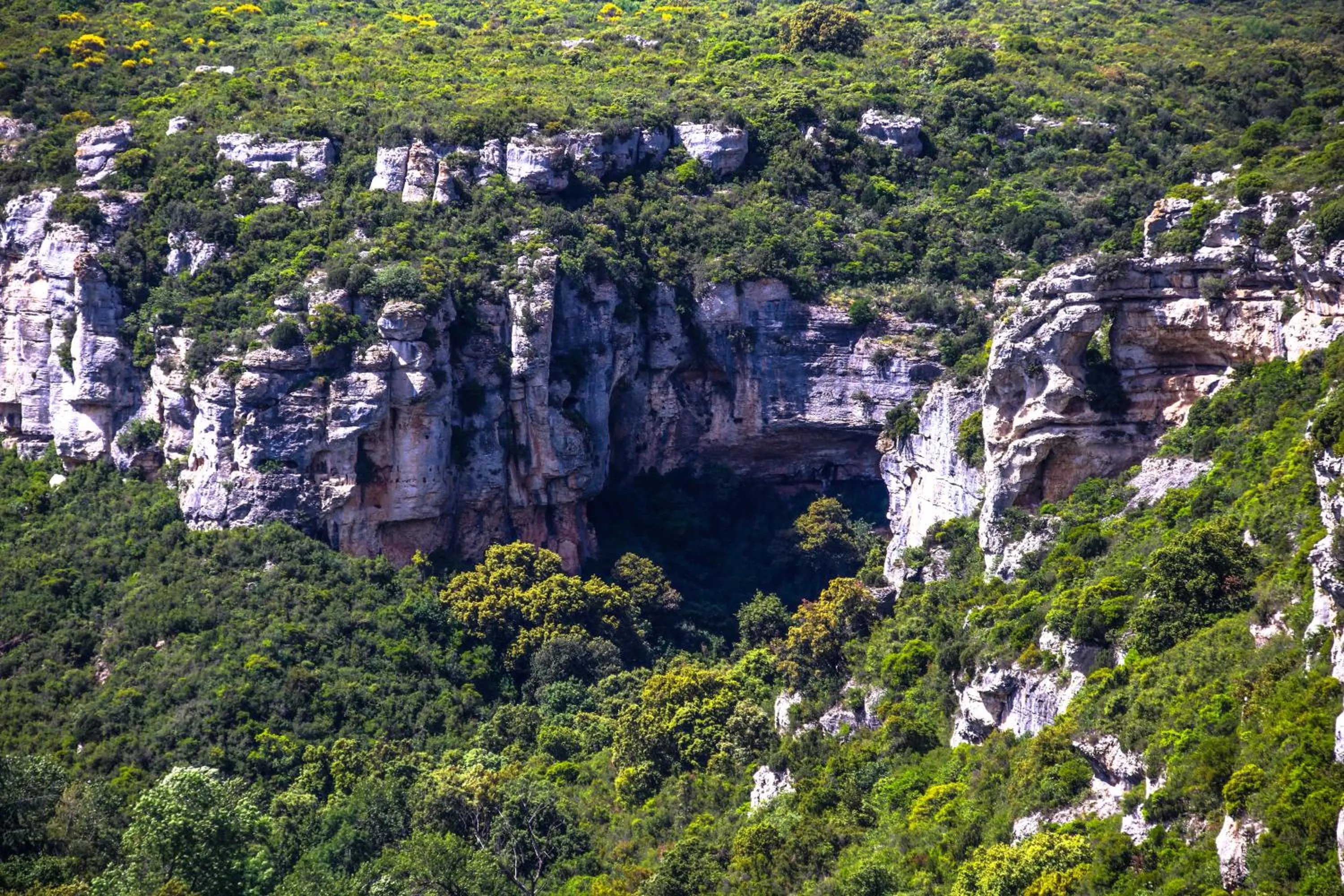 Natural landscape in Château De Siran - Hôtel & Spa
