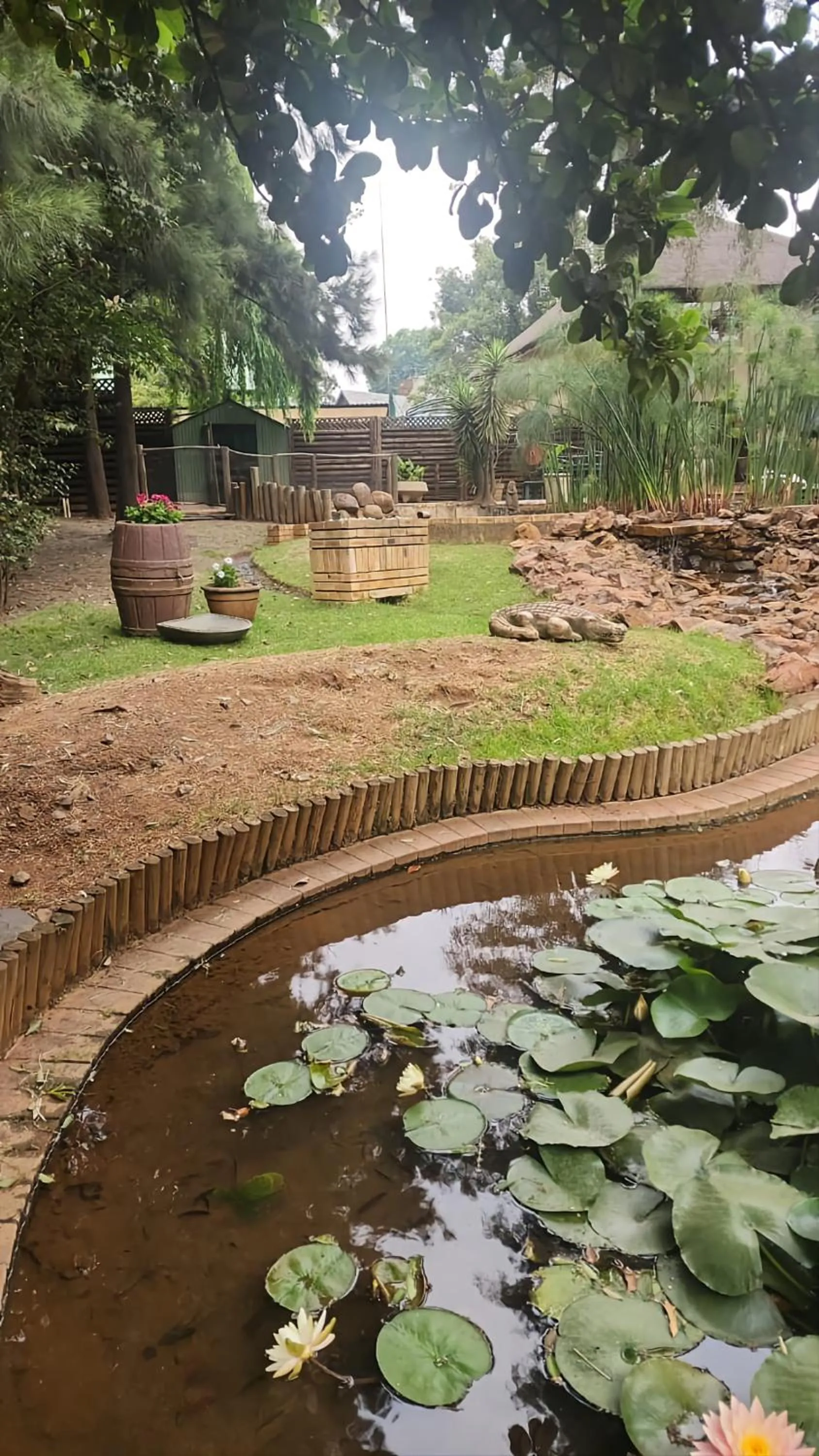 Garden in Goodnight Guest Lodge