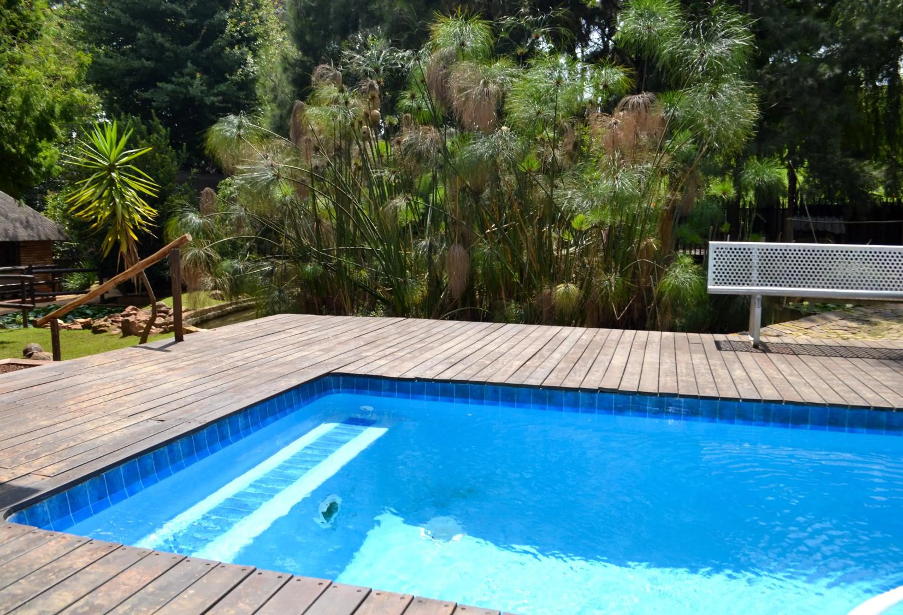 Swimming pool in Goodnight Guest Lodge