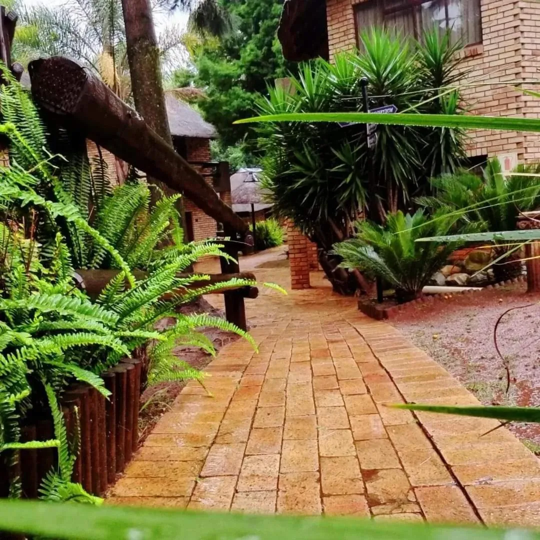 Garden in Goodnight Guest Lodge