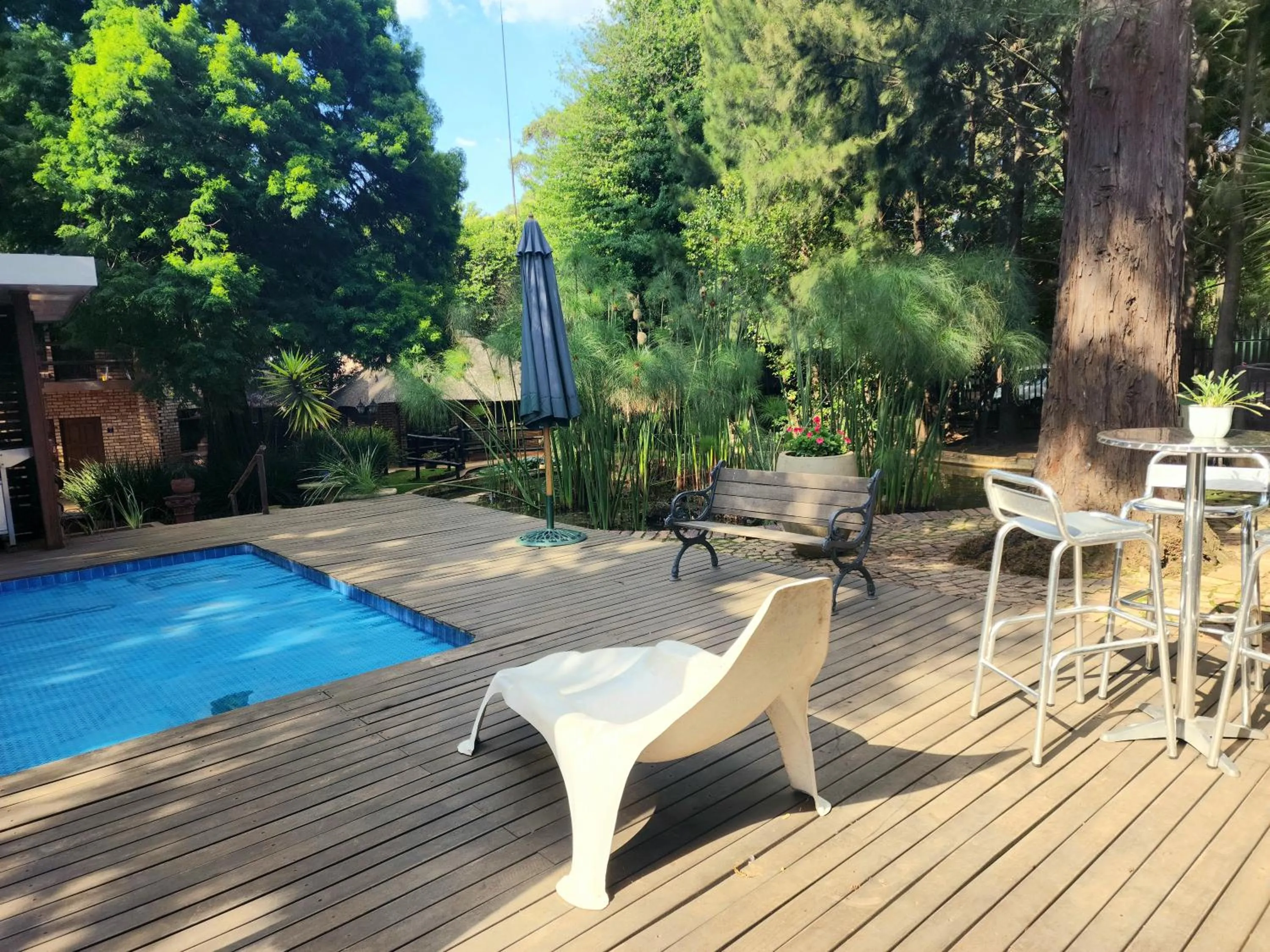 Swimming pool in Goodnight Guest Lodge